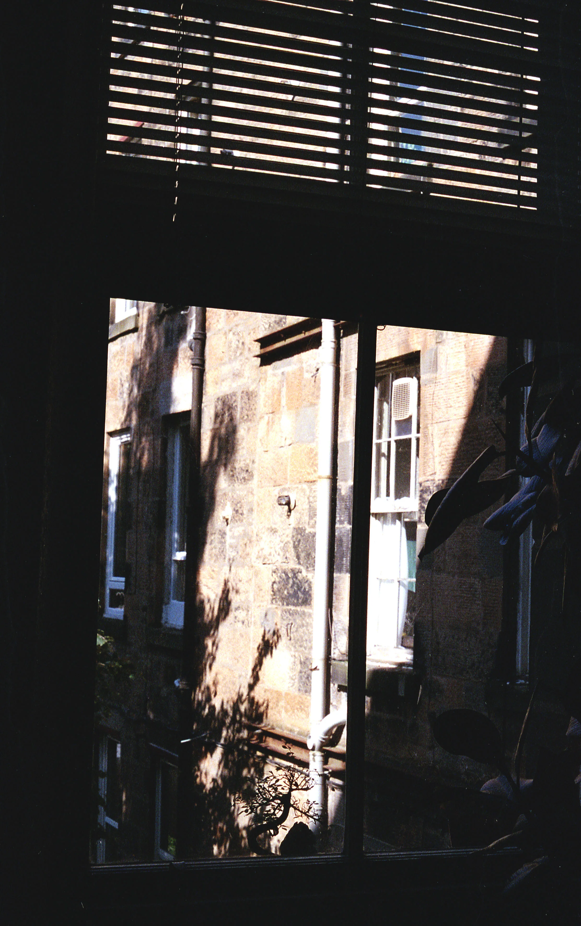 Sun Break, 2015