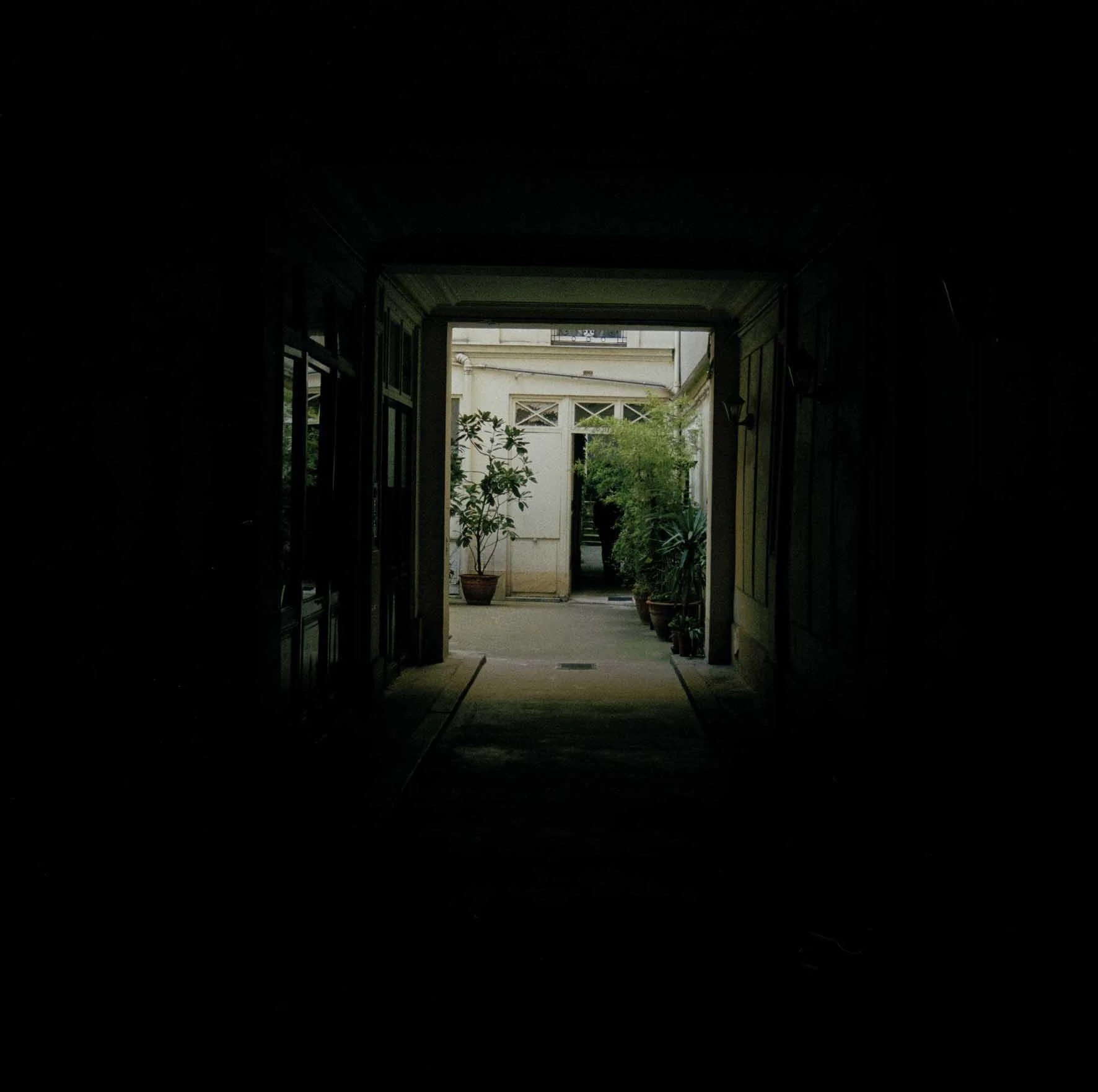 untitled, 2011 c-type print unframed 100 x 100 cm
