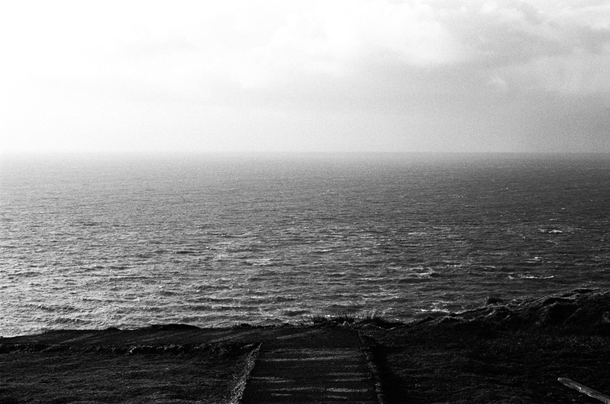 2020-IoS-Tri-X-011.jpg