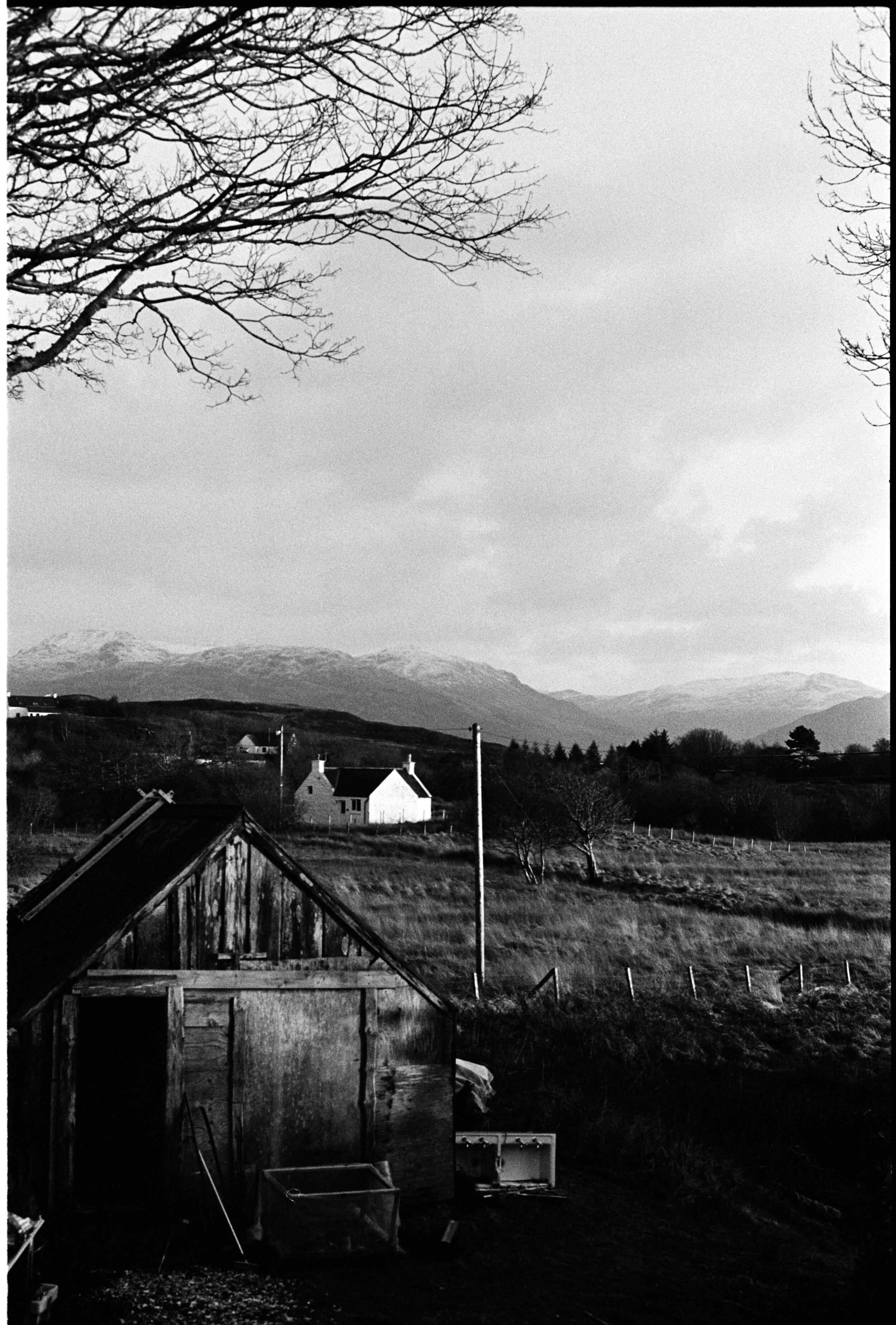 2020-IoS-Tri-X-018.jpg