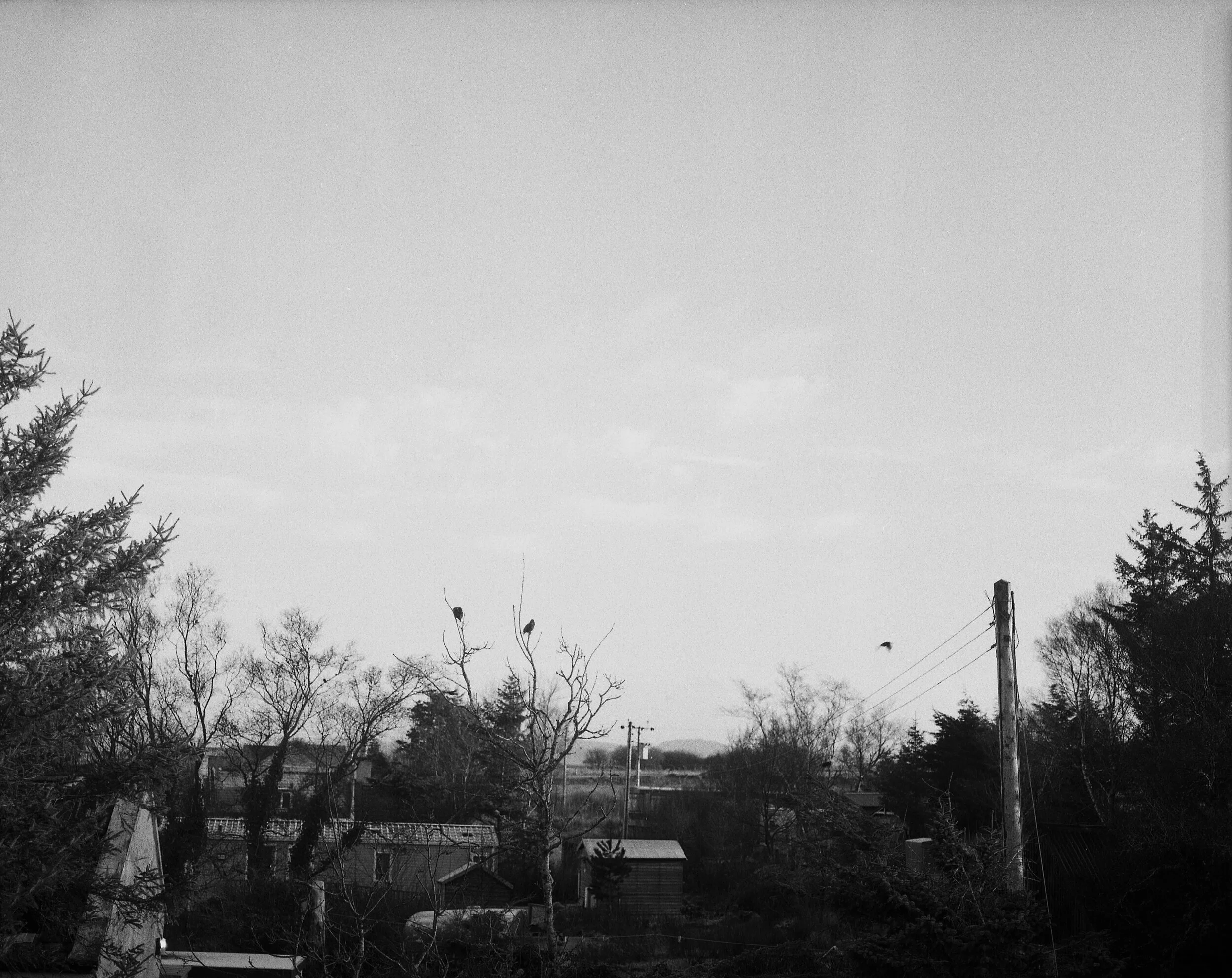 2019-BW-SKYE-018.jpg