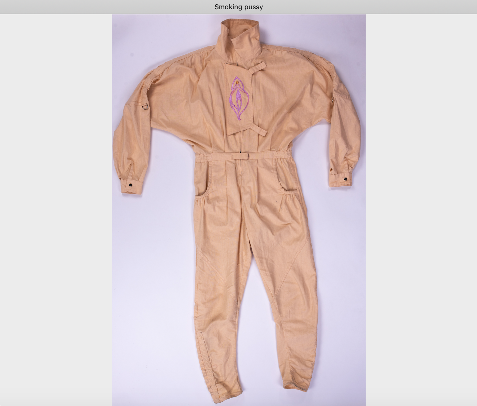 17painted fits Tulis.png