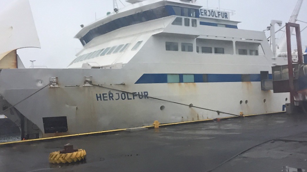 Our ferry. During the winter it has to take the long route up to a port closer to Reykjavik and the ride lasts 2.5 hours. In the summer it's only 30 minutes to shore. 