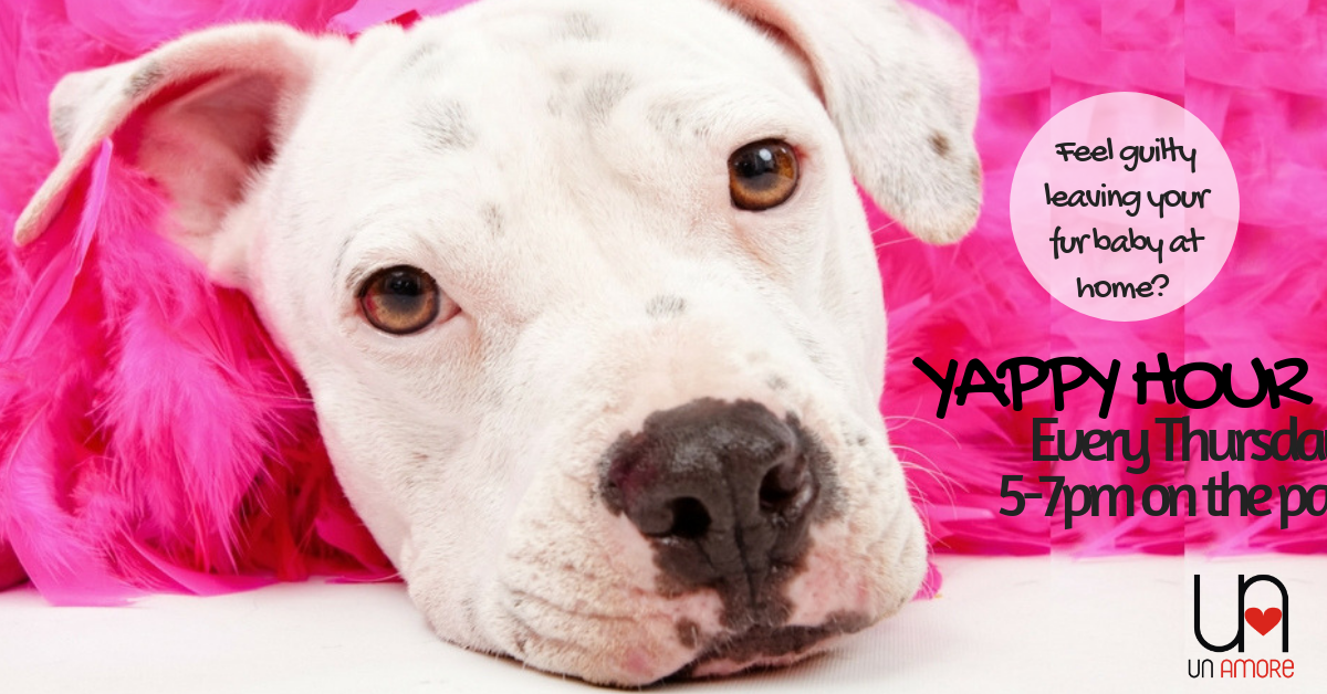 YAPPY HOUR.png