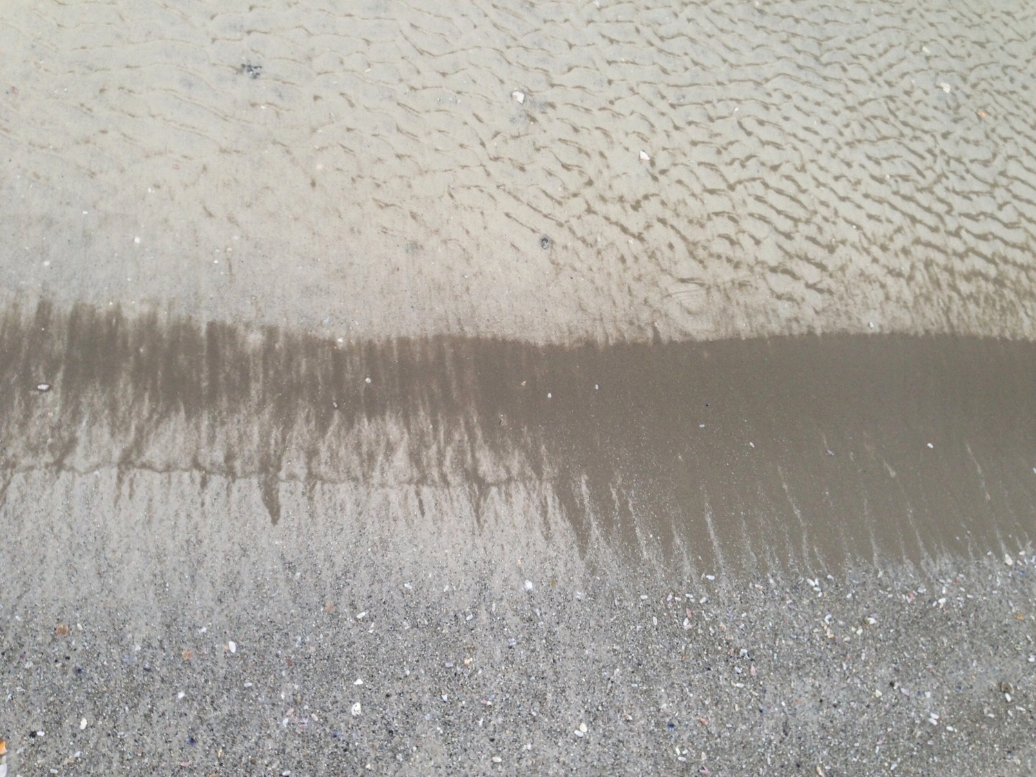 Photograph of wave in Siesta Beach, Florida by Jae Schalekamp