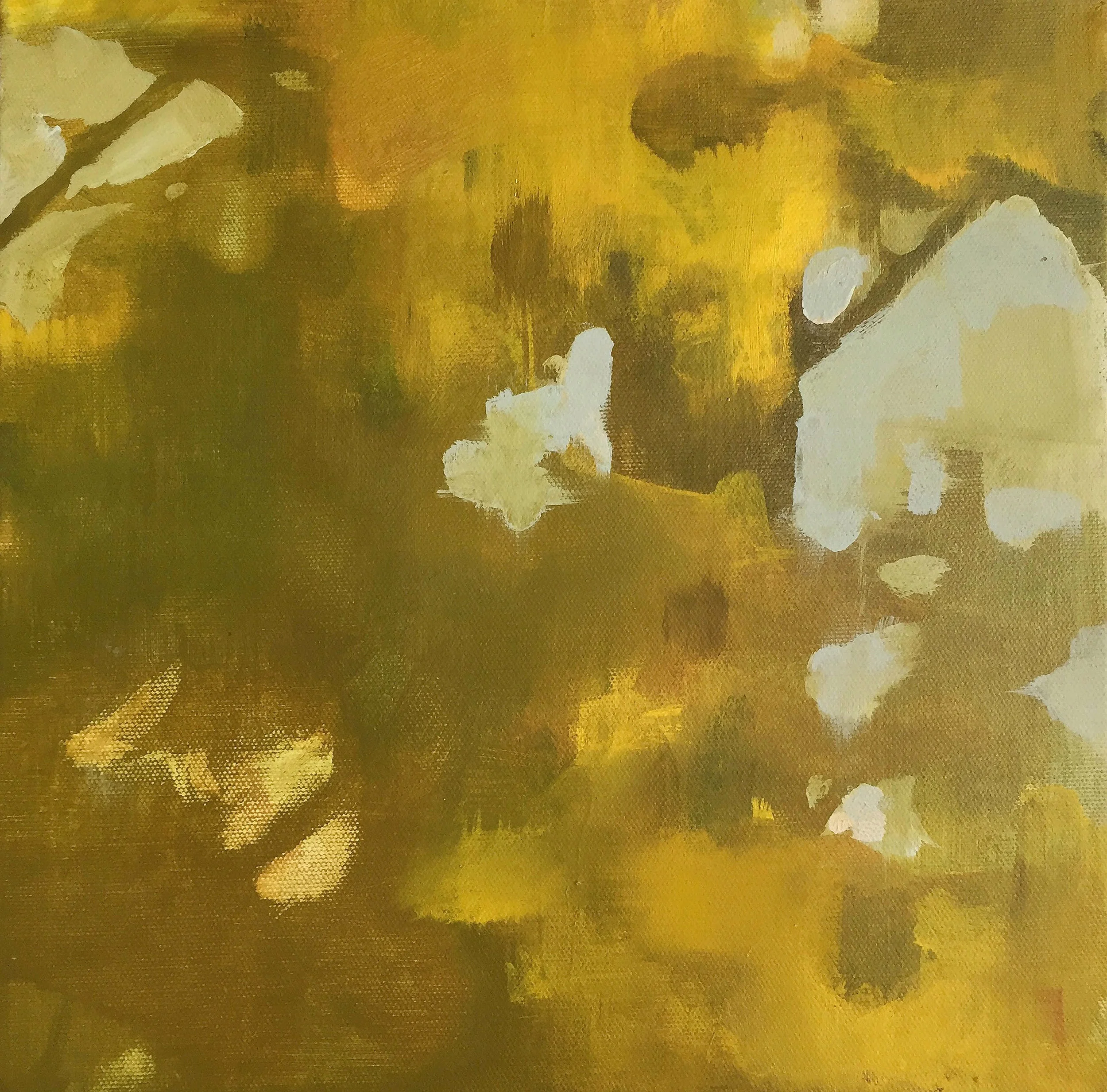 chartreuse in shadow (2).jpg