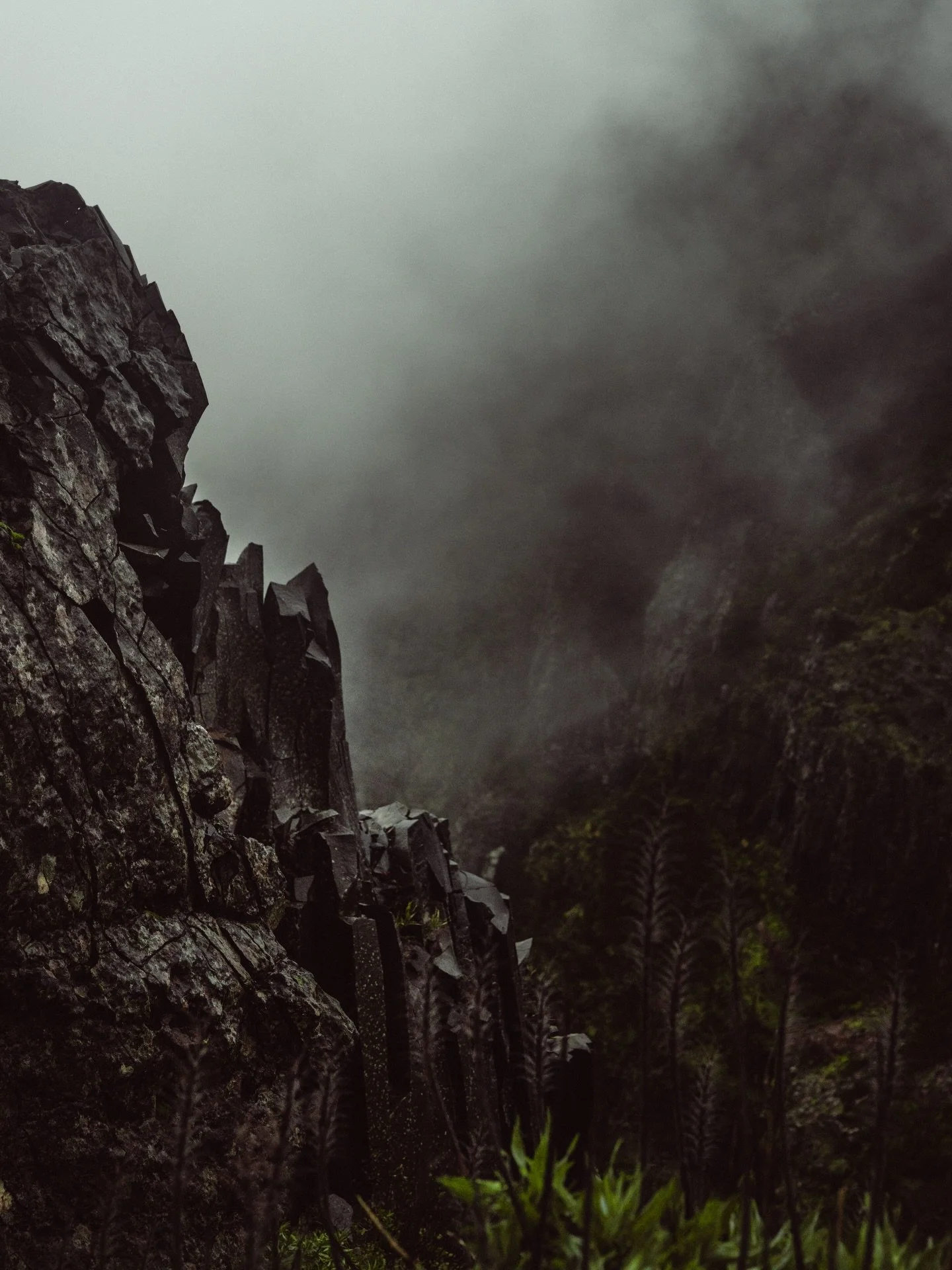 Hiking through the misty mountains, Madeira ⛰️ 🌫️ #madeira #hiking #mountains