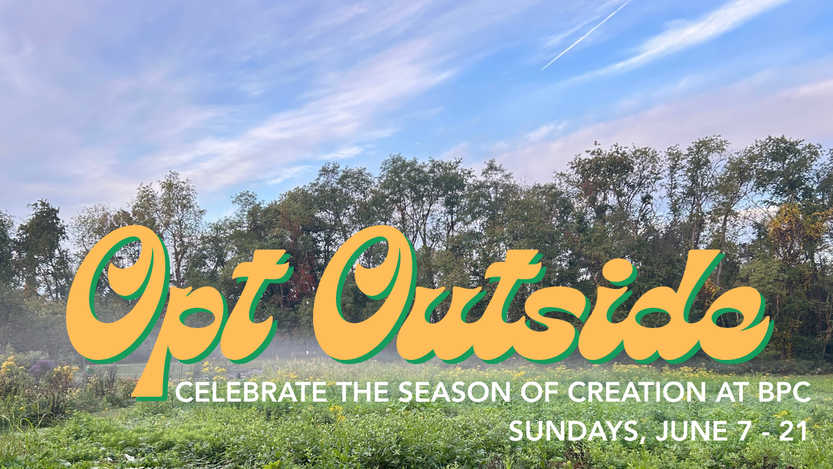 opt outside.png