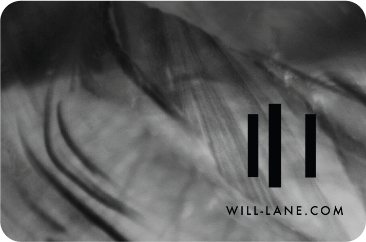 WILL LANE GIFT CARDS-03.png