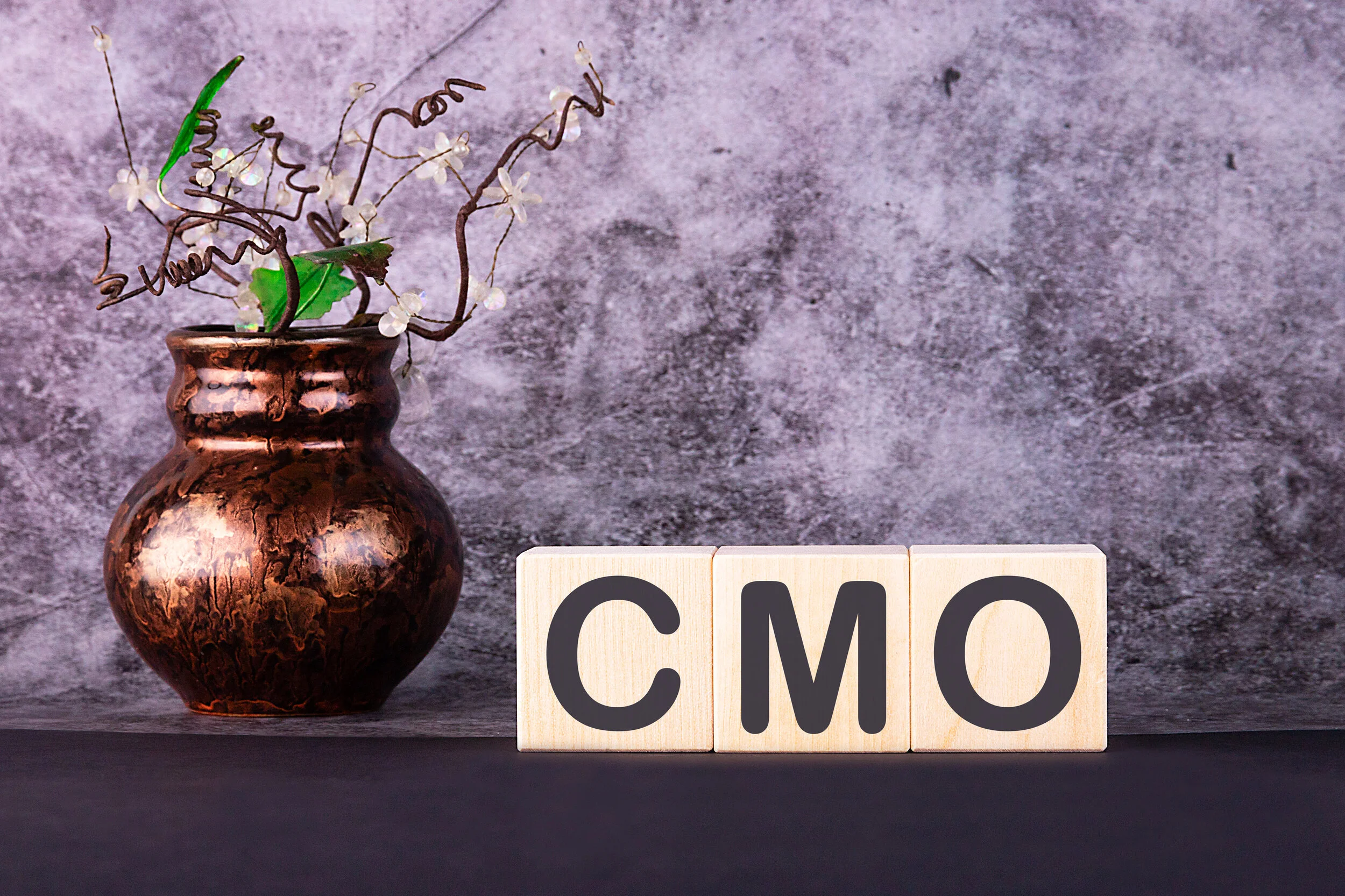 How Select Advisors Institute Is Leading the Future of Fractional Chief Marketing Officer Jobs