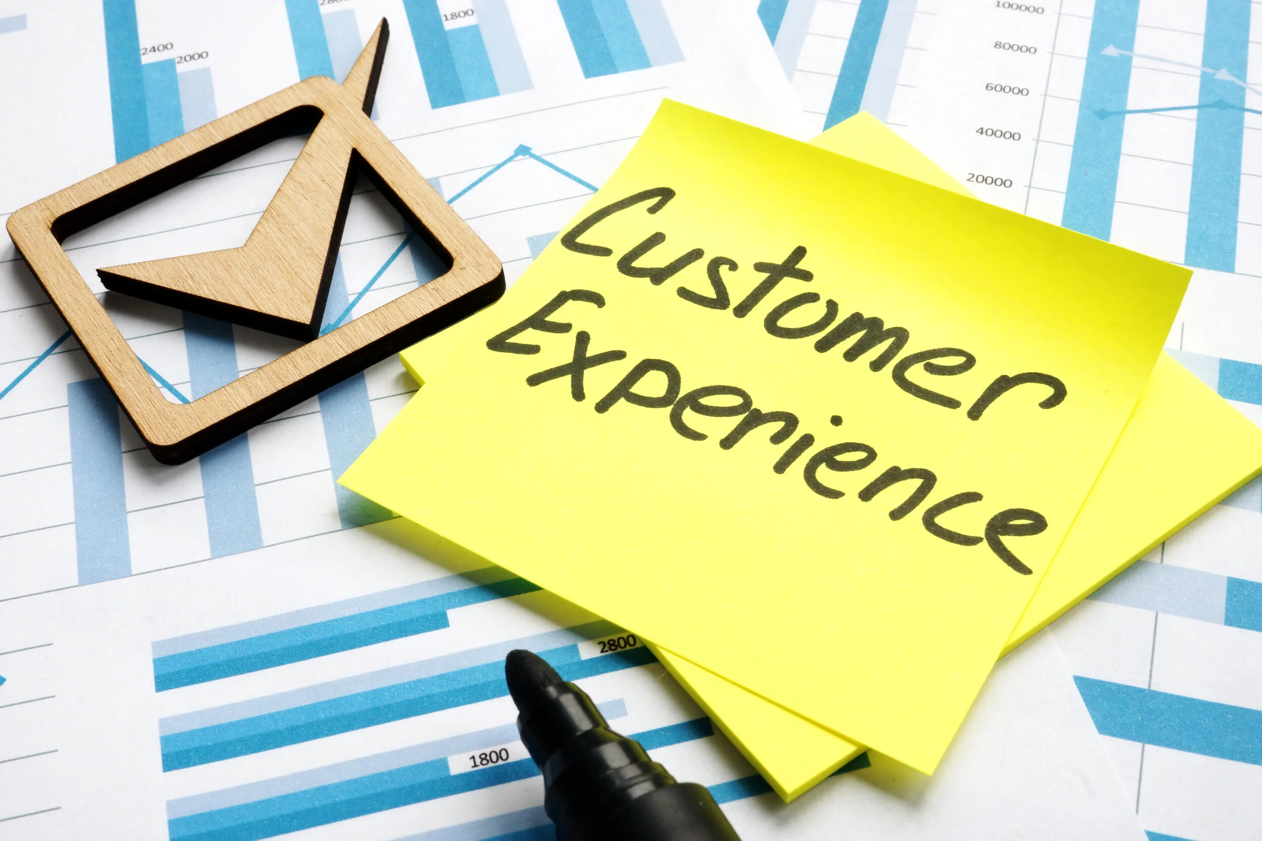 Select Advisors Institute: Leading Customer Service Training with Amy Parvaneh