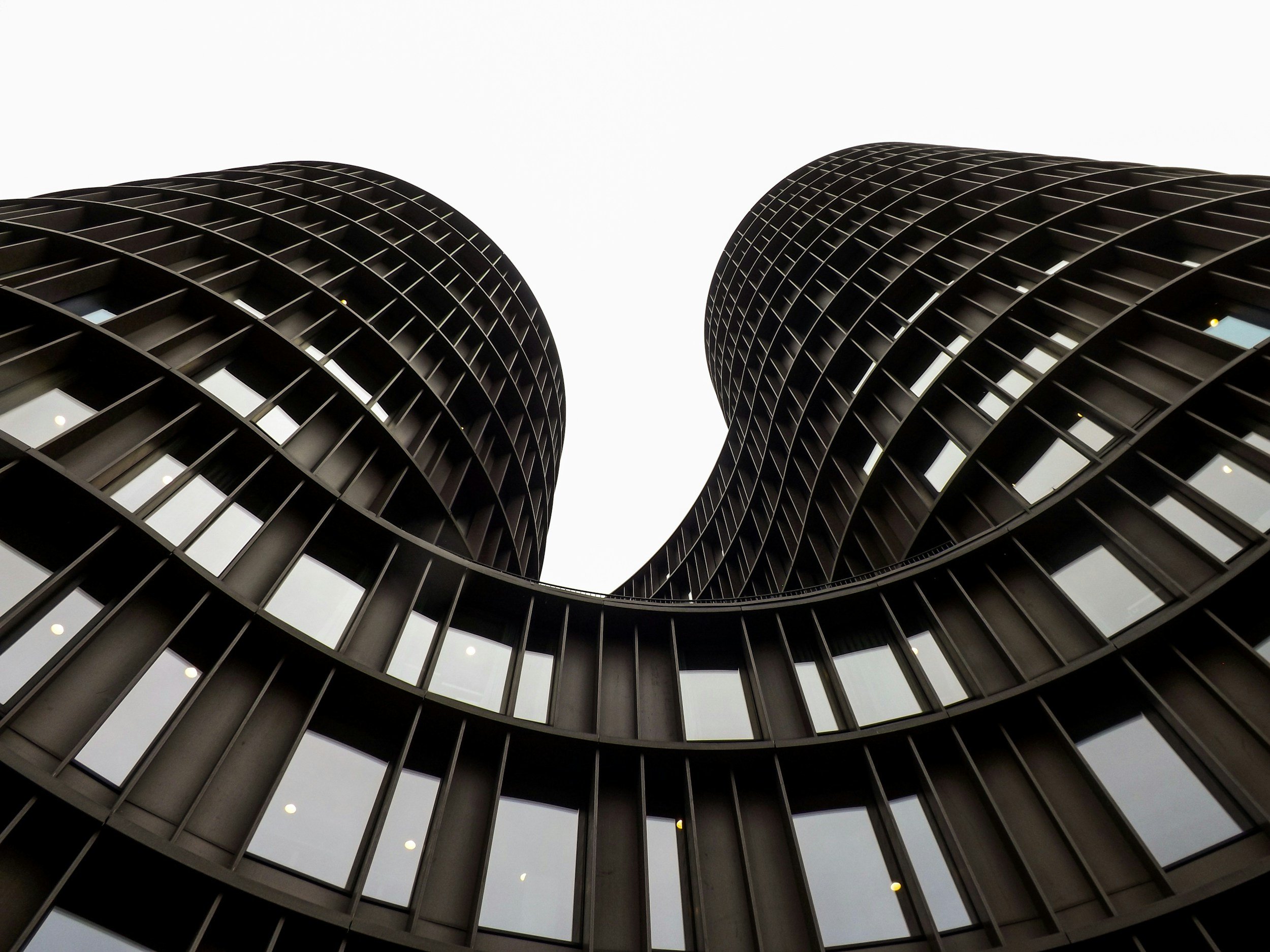 Fractional CMO Services for Credit Unions Built for Sustainable Growth