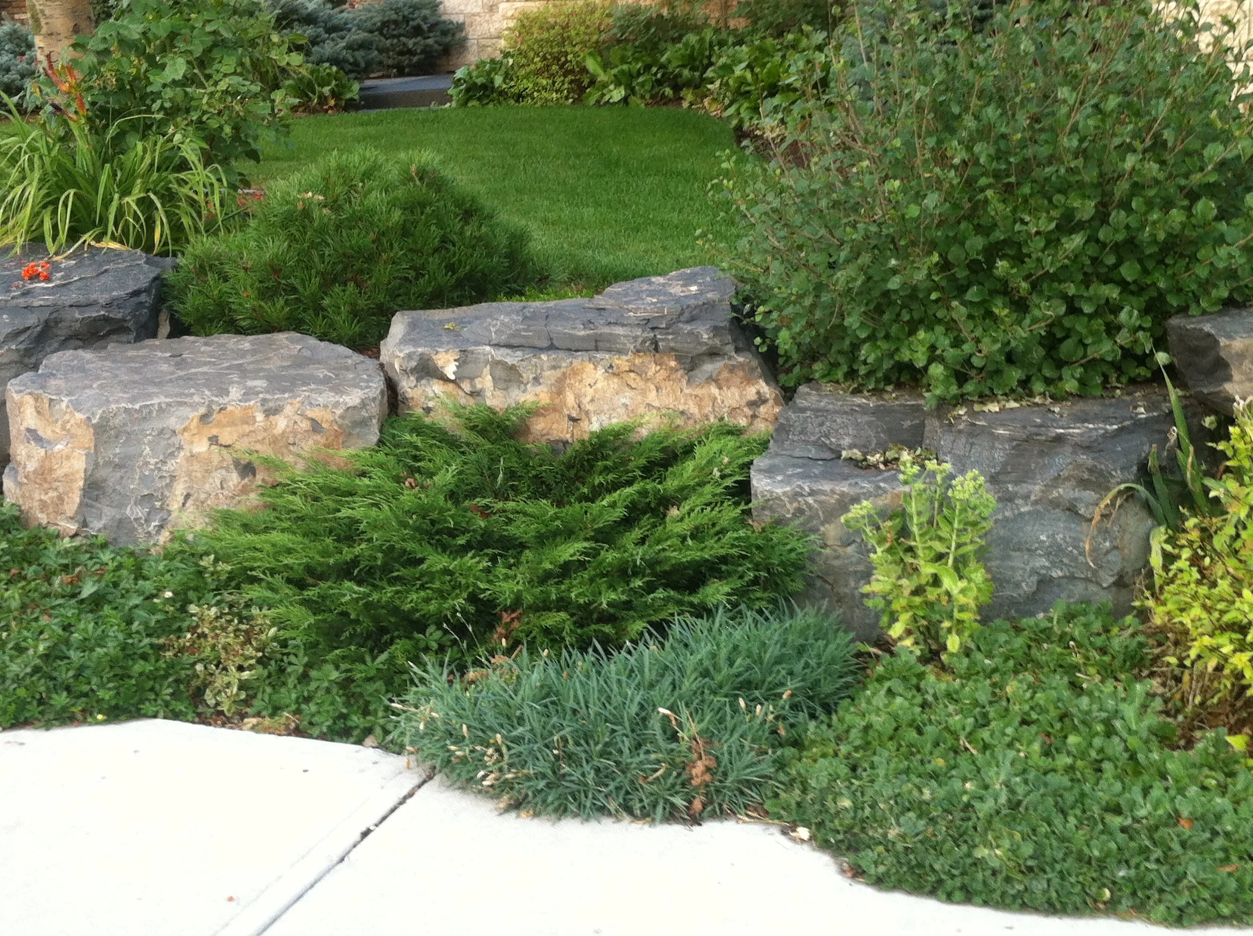 Natural rock border 