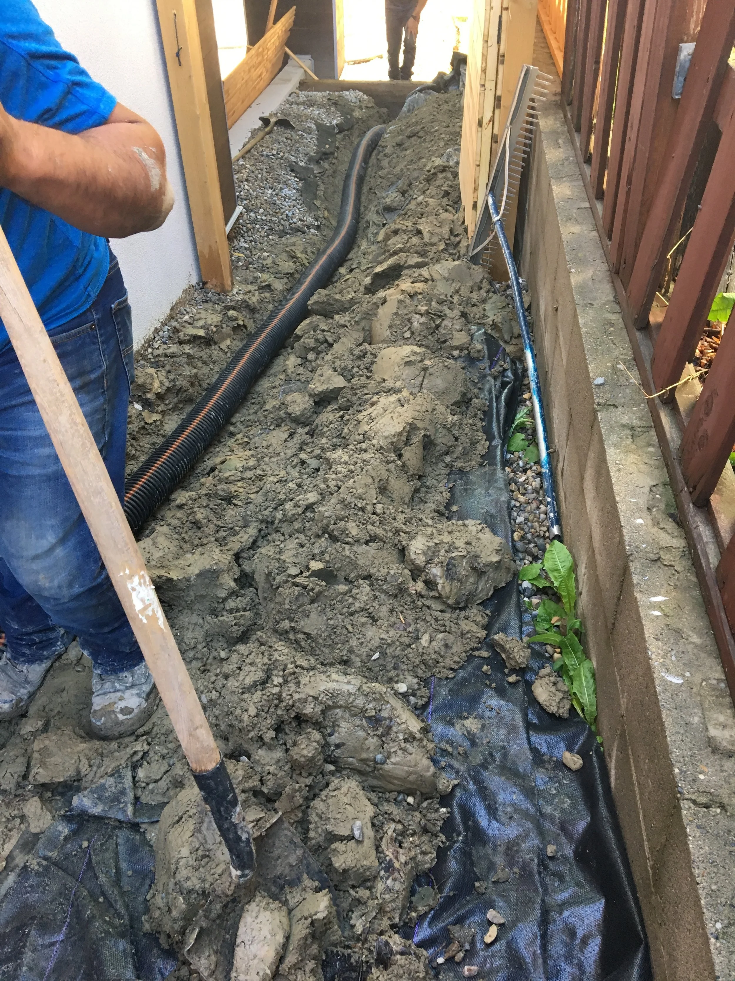 Moving Water 