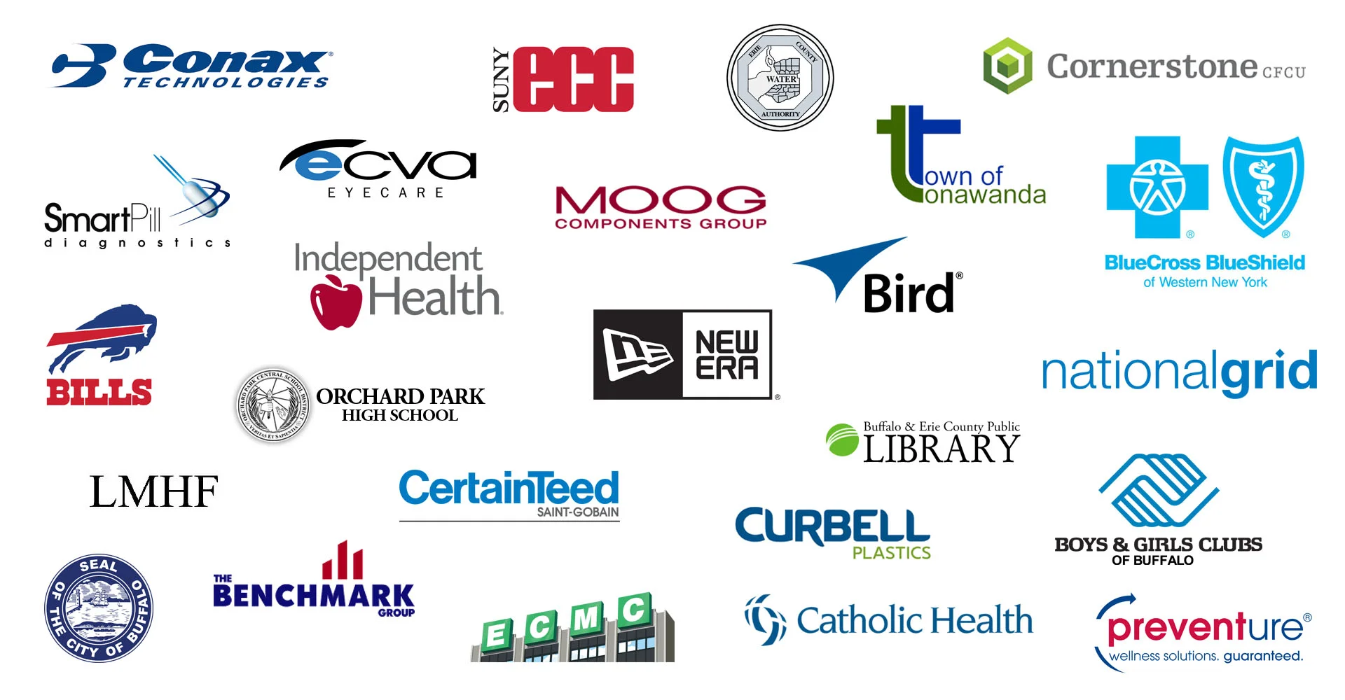 BioLogos.jpg