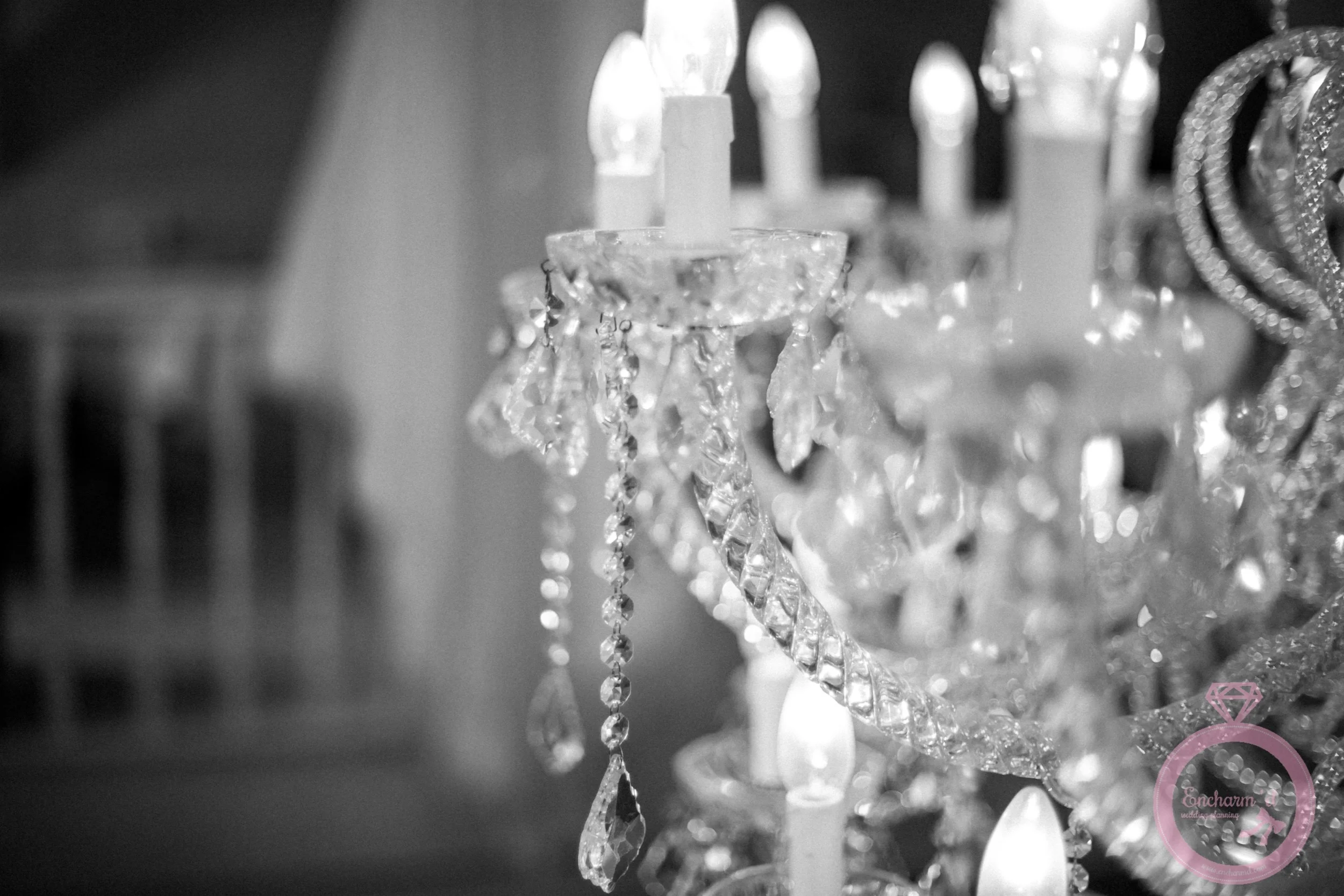 Elisabeth Van Lent Photography - Styled Shoot Encharm'd-14.jpg