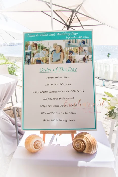 weddingplannerencharmd12.jpg