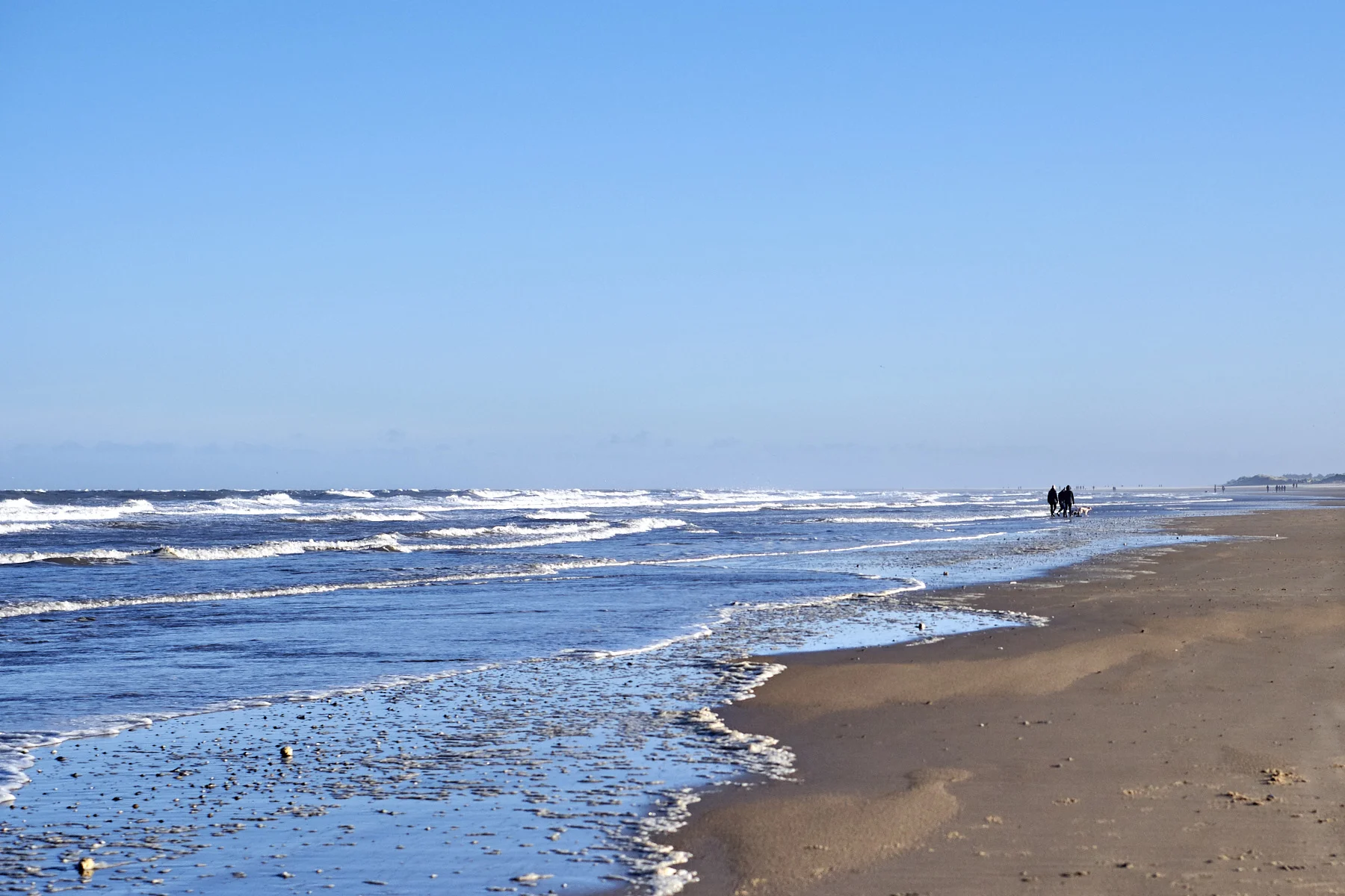 DSCF0609_Holkham_W E B II.jpg