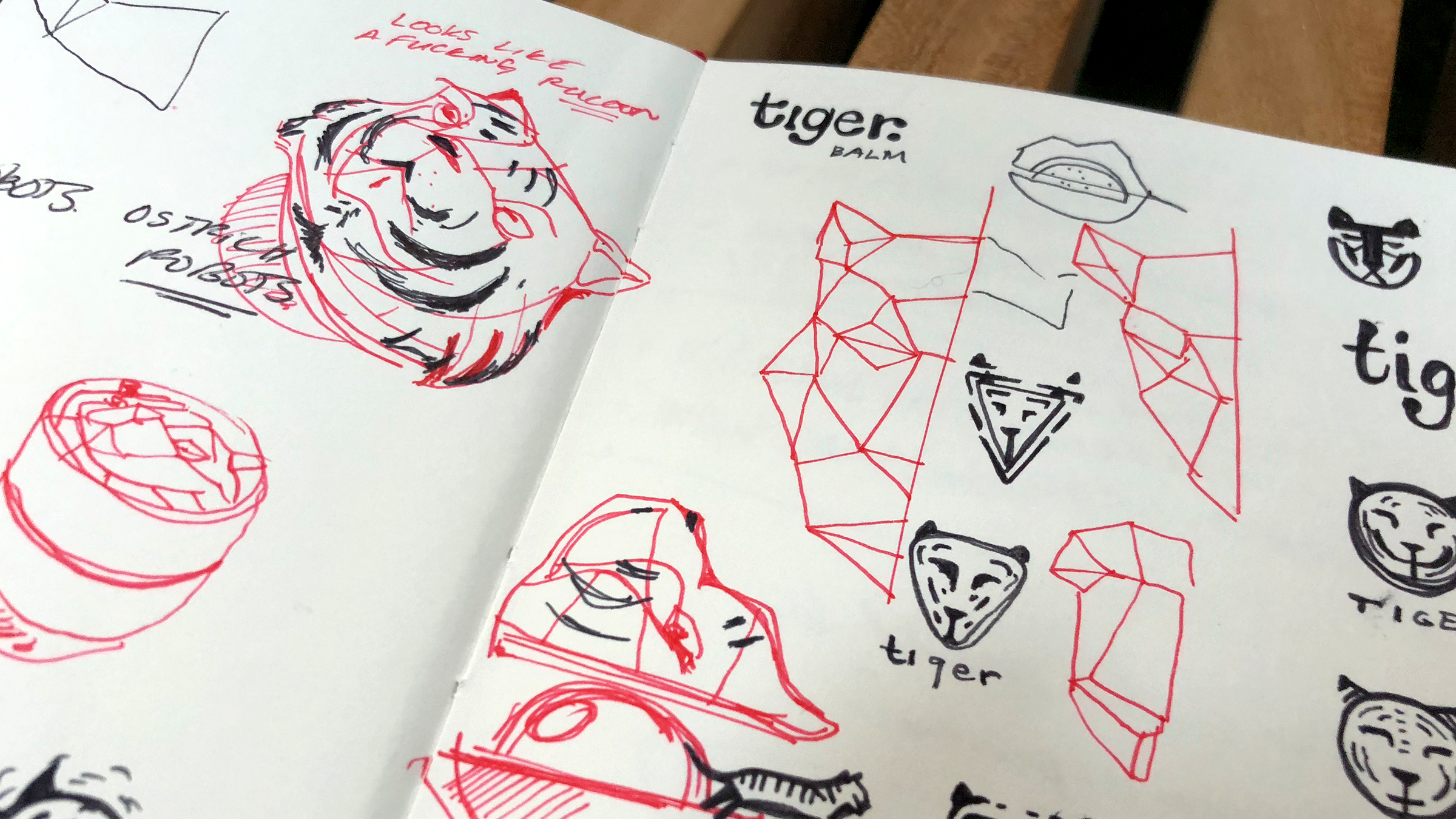 TigerBalm_redesign-concept-creativesession-1.png