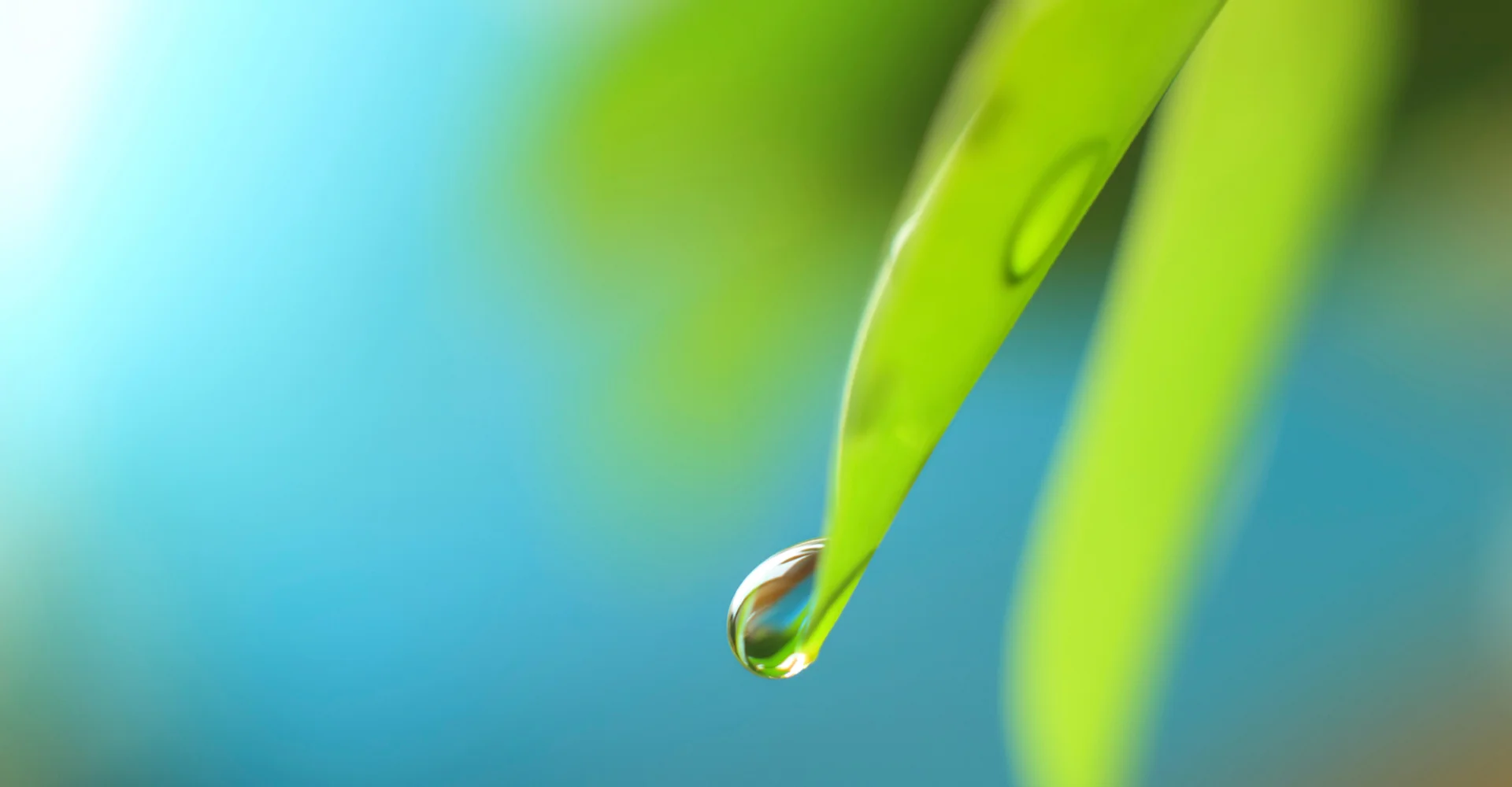 Bridging Environmental Solutions Eyestone Environmental is a specialized environmental consulting firm led by Stephanie Eyestone-Jones a leader in the environmental consulting field with over 20 years of environmental consulting experience. read more