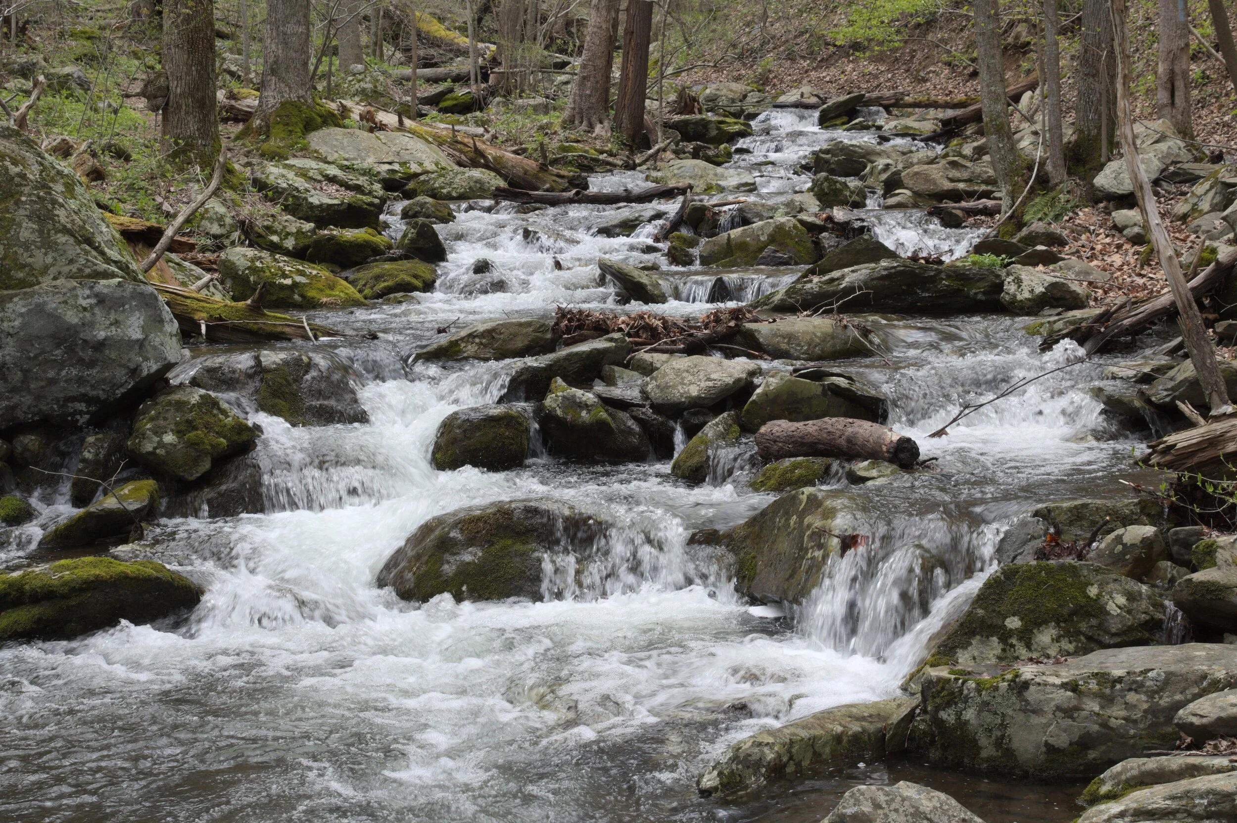 Stream Collage (2009)