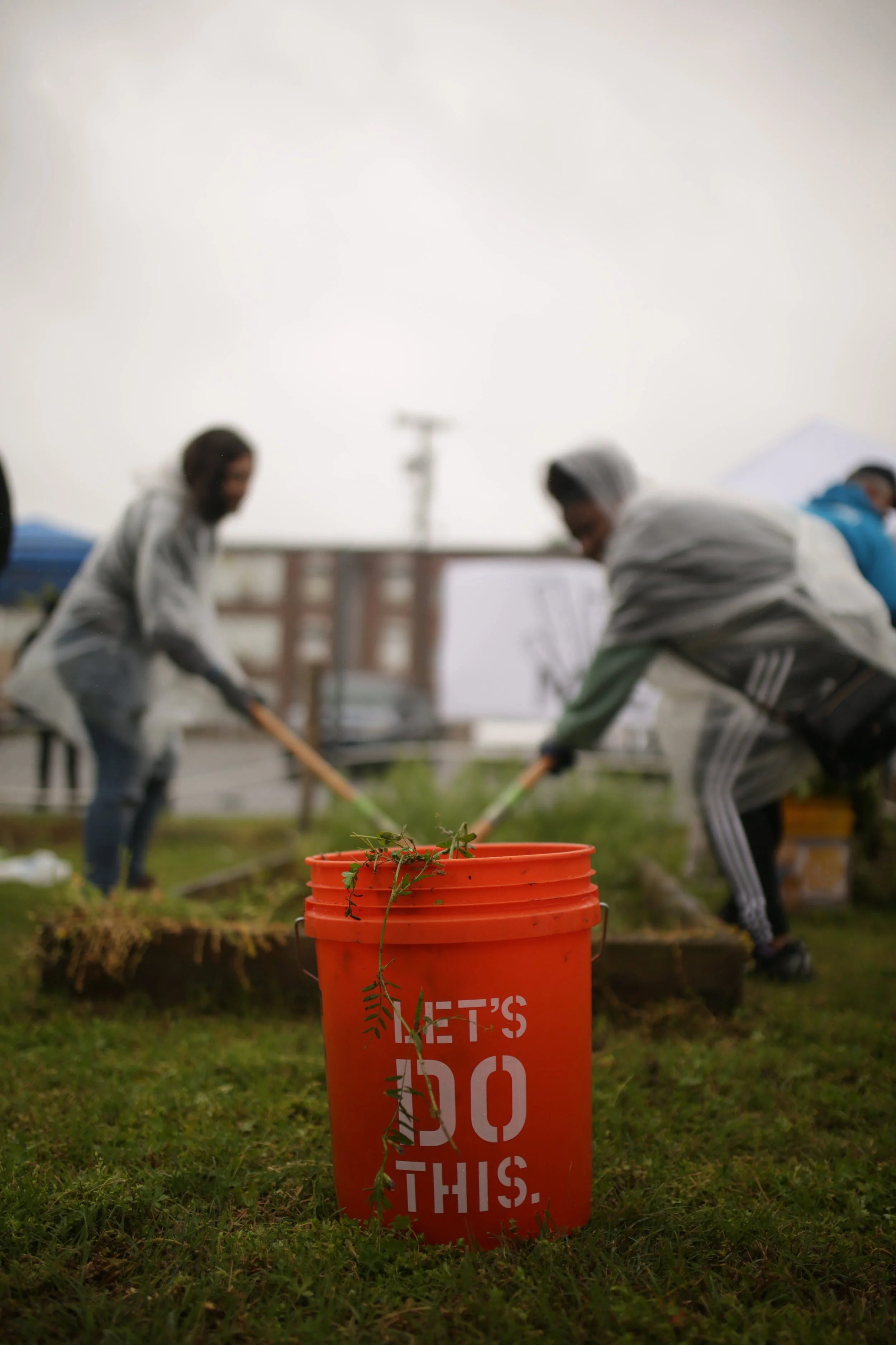 Garvey Garden Maintenance 