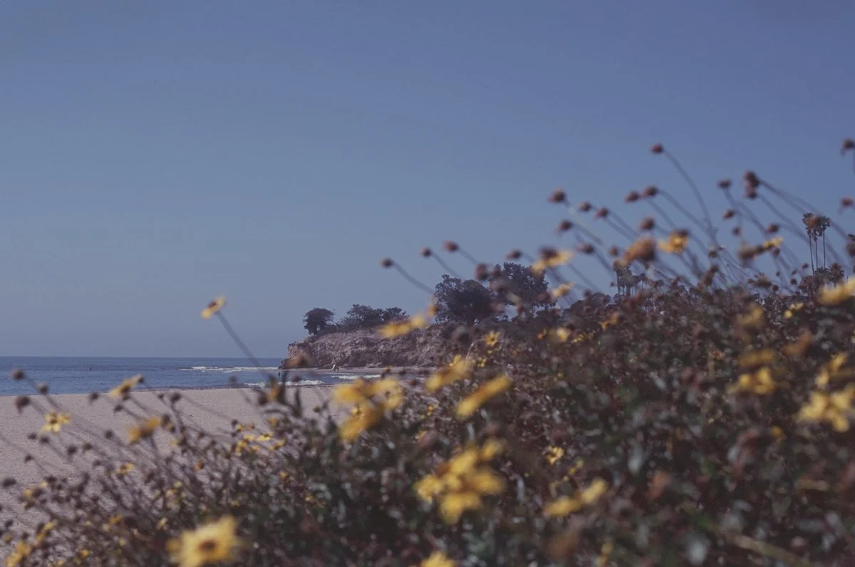 000082170017 copy.jpg