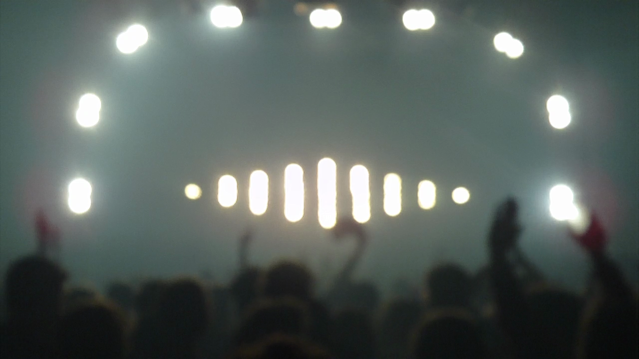 17th Funky Elephant Festival (2011)