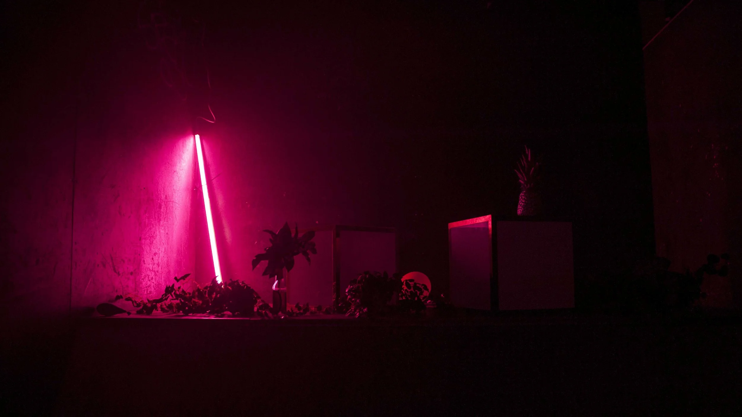 Area Lighting