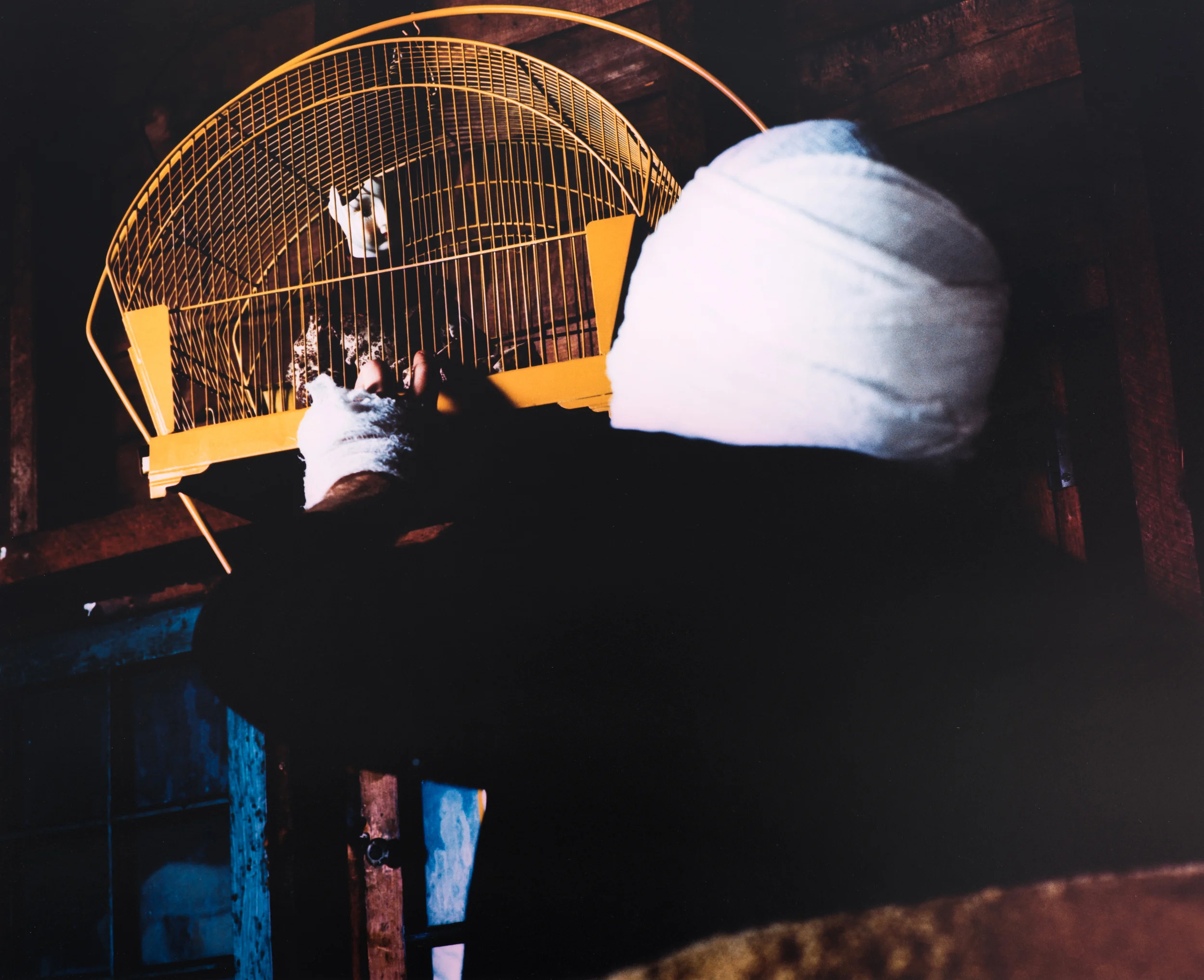 In the Attic.jpg