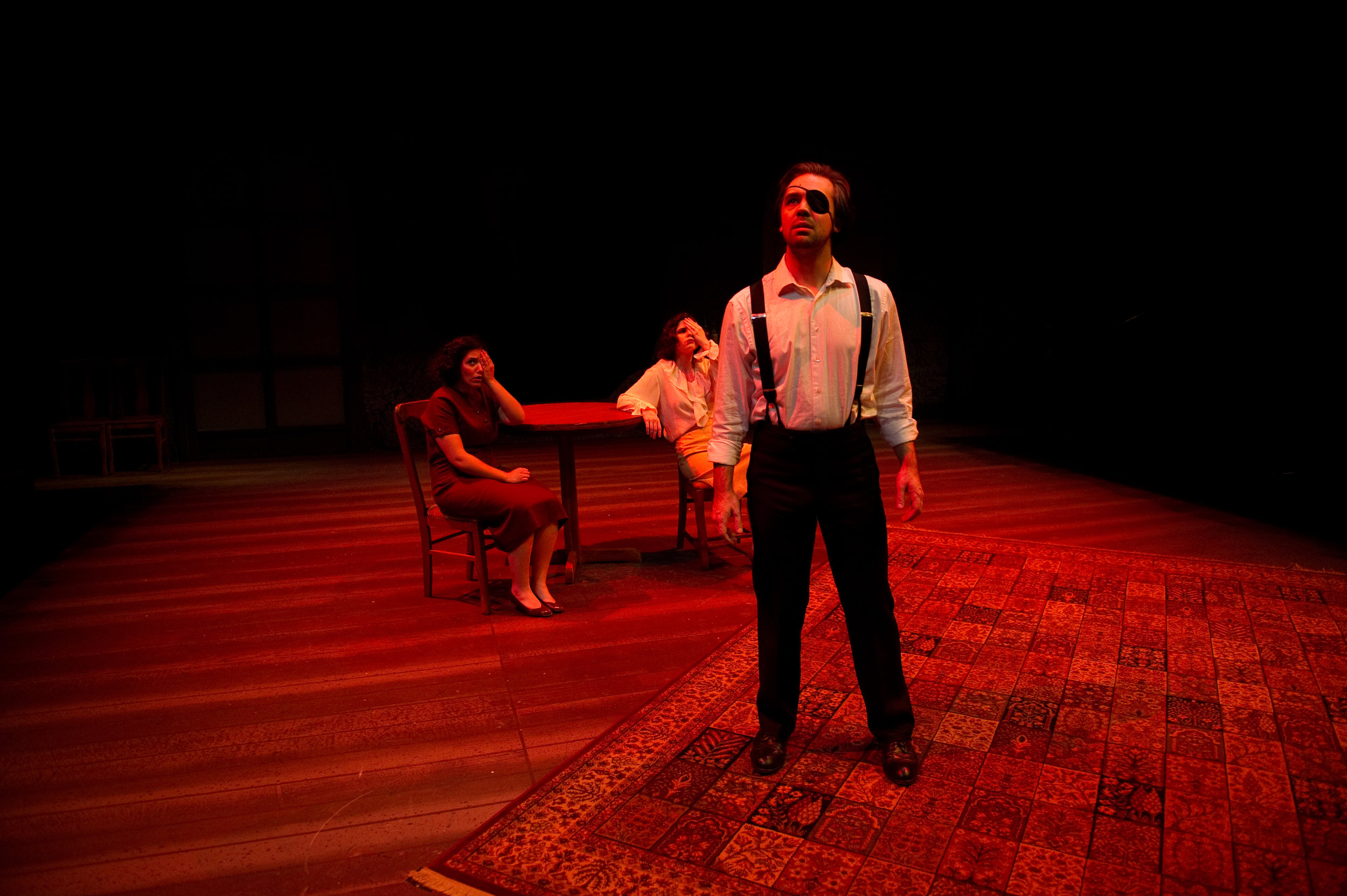   A Bright Room Called Day  - Southern Miss Theatre, 2013 