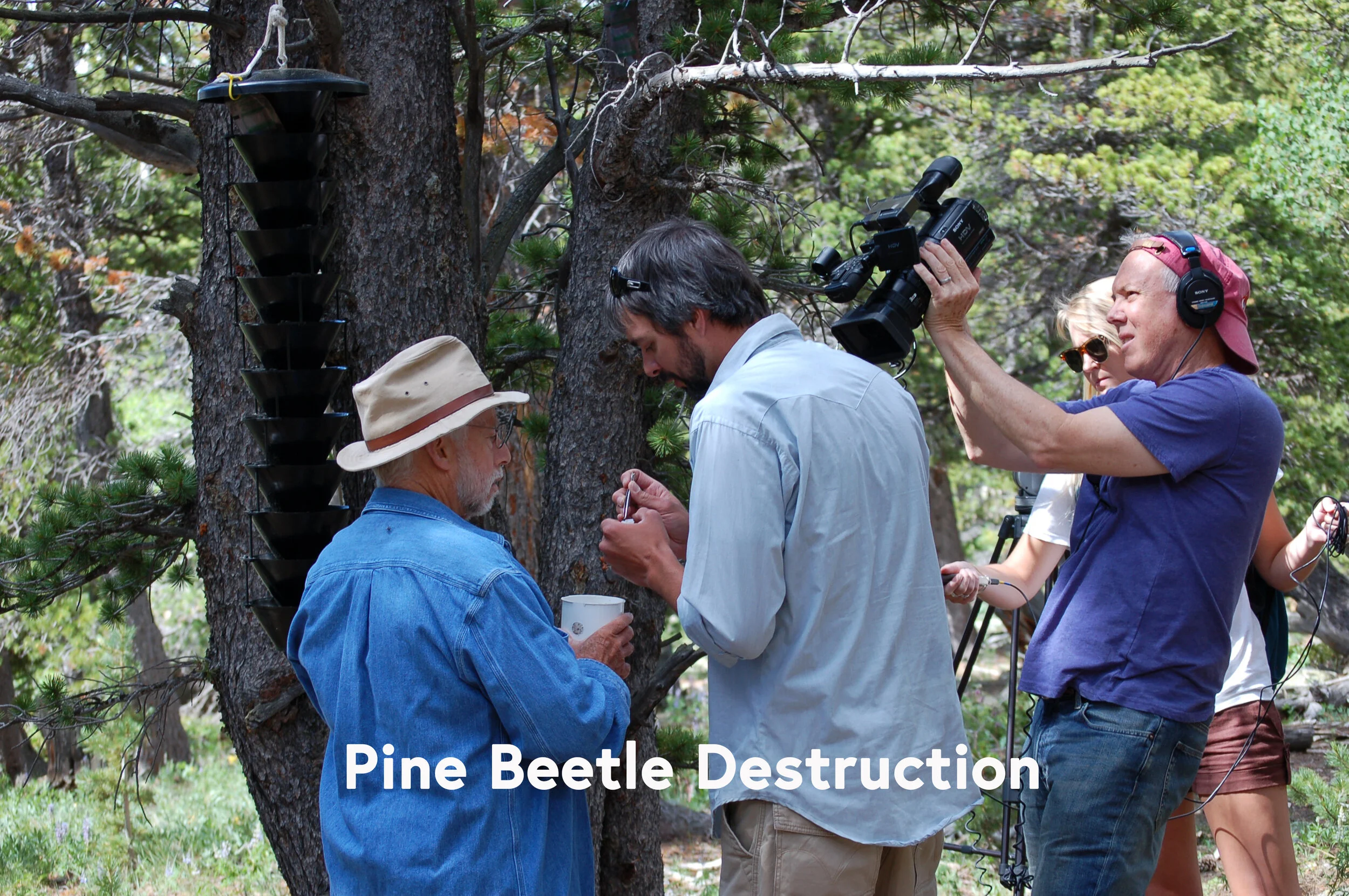 CLIMATE CHANGE RESEARCH   UNIVERSITY OF COLORADO