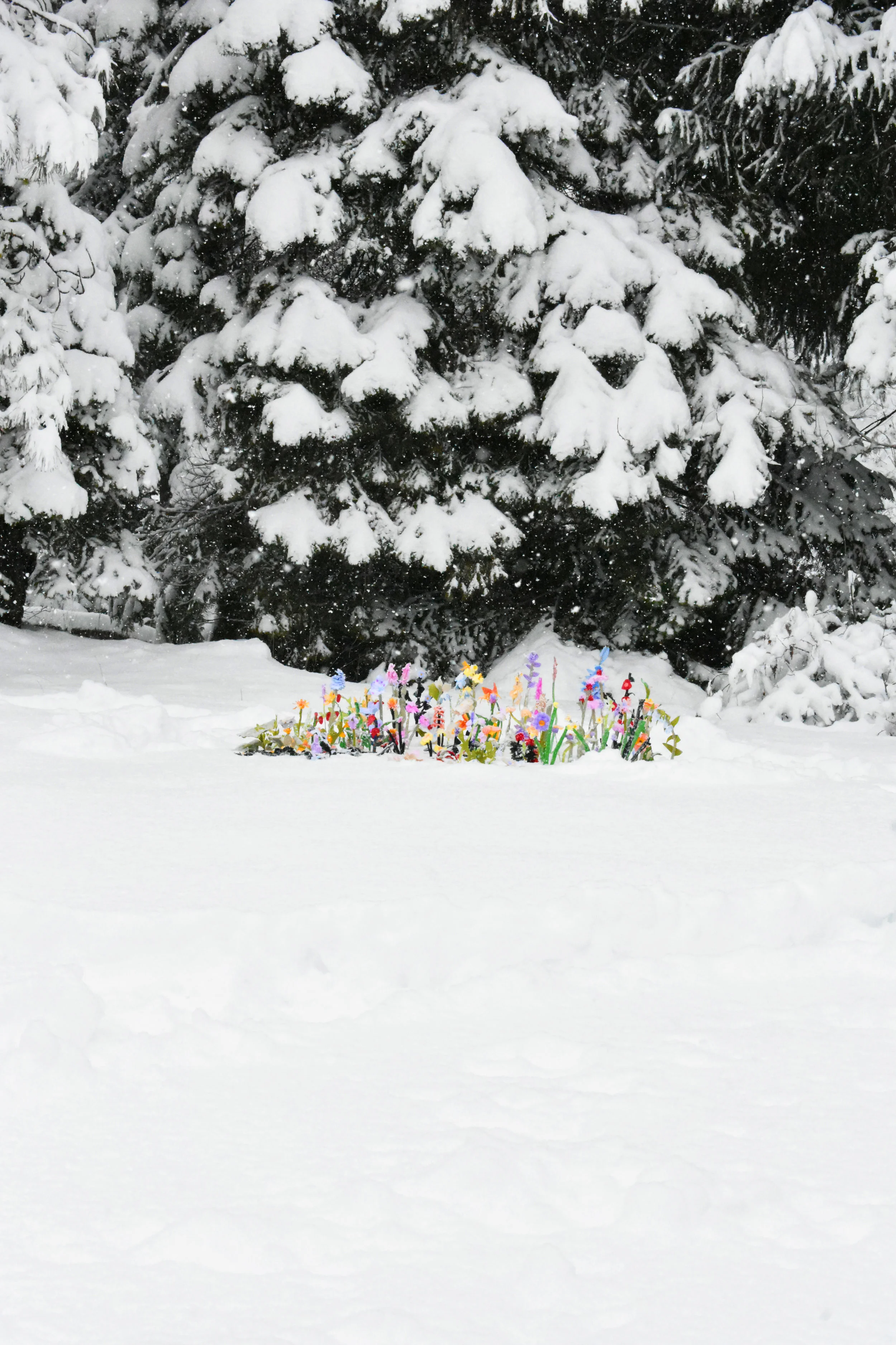 flowers 3.jpg