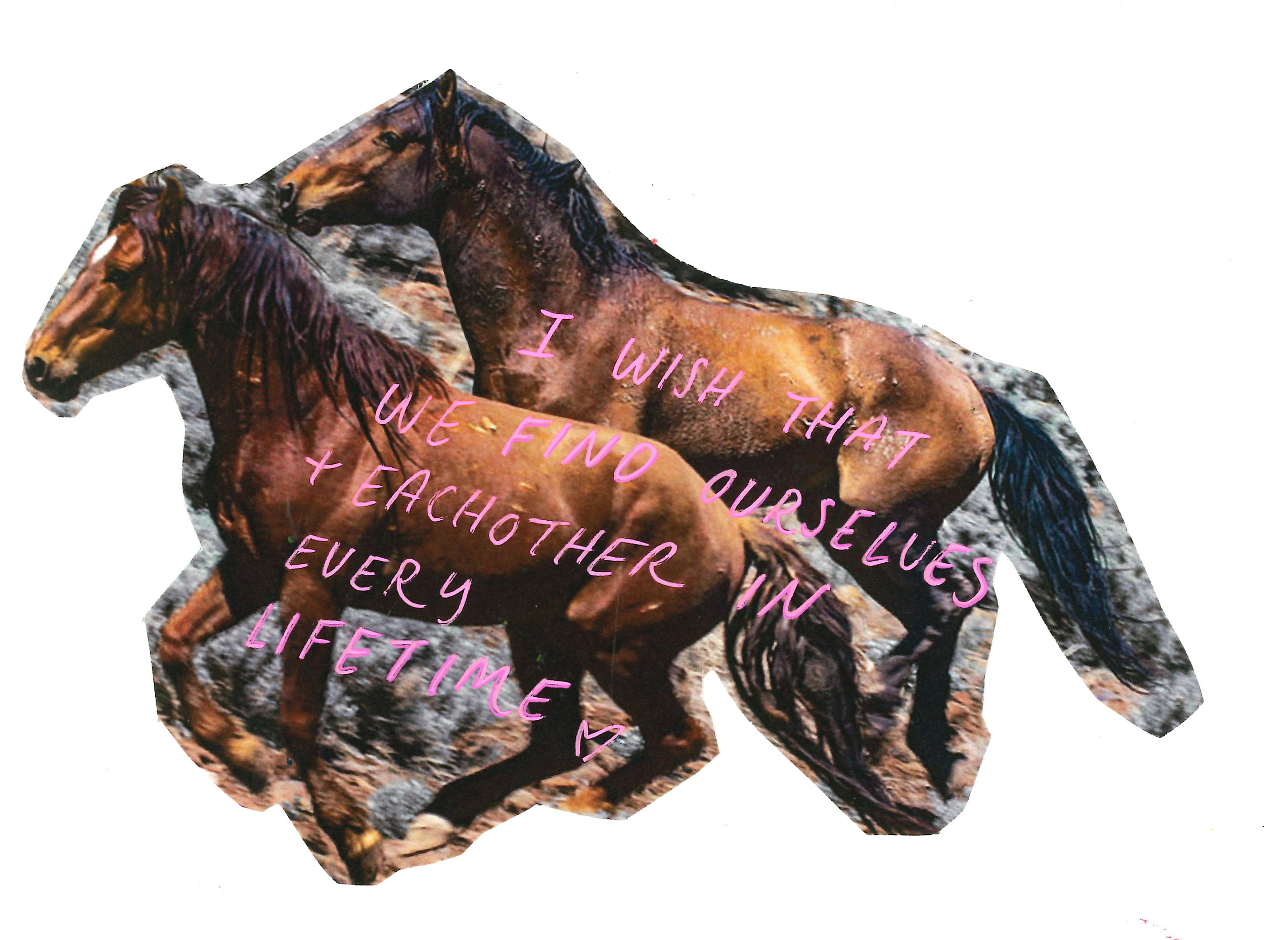 27.png