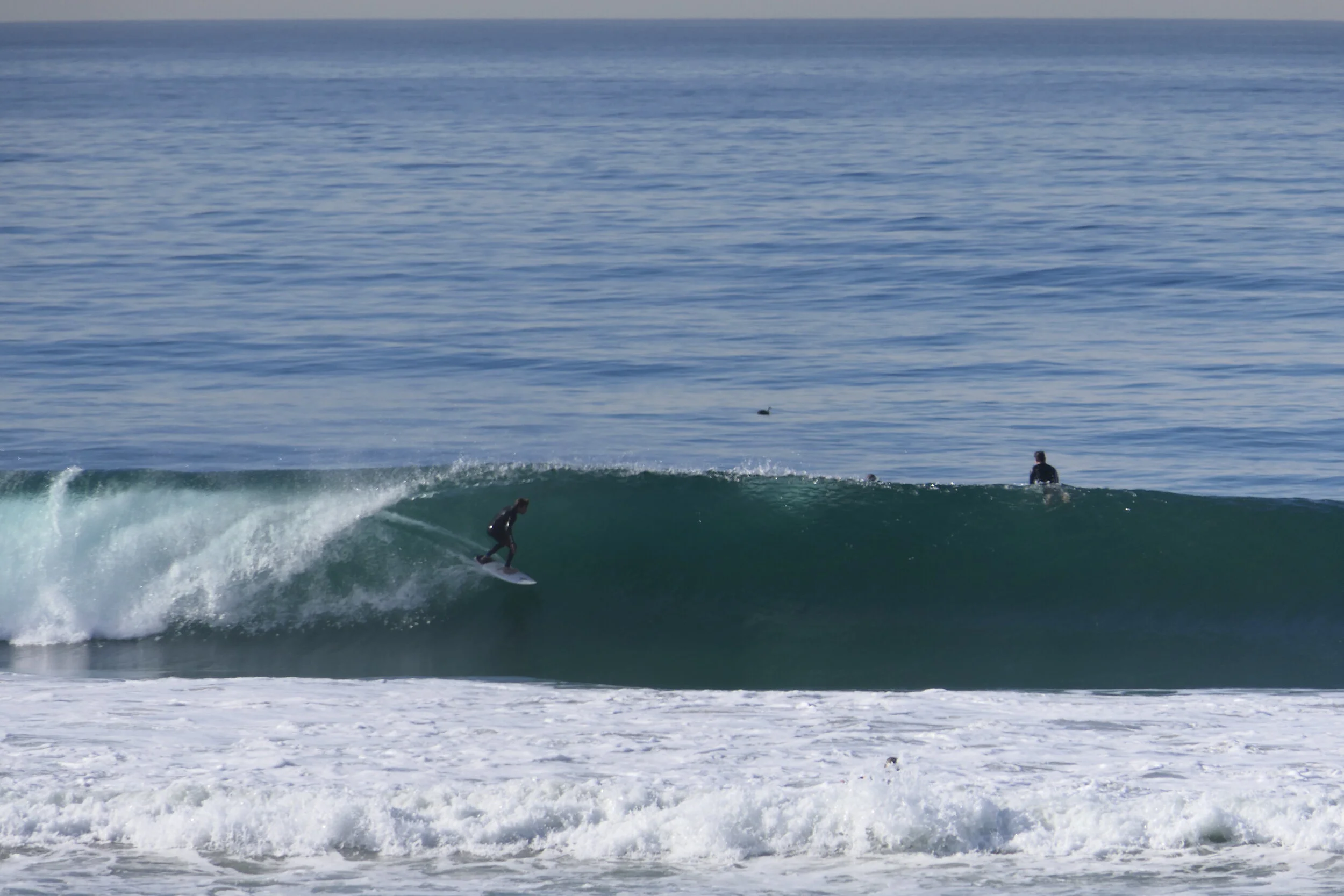 P2480716.JPG