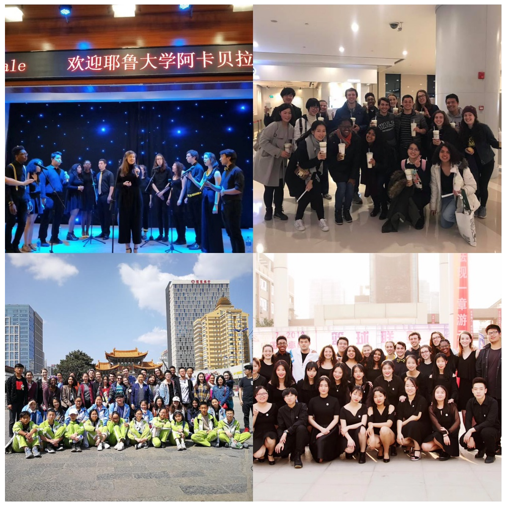 china collage.png