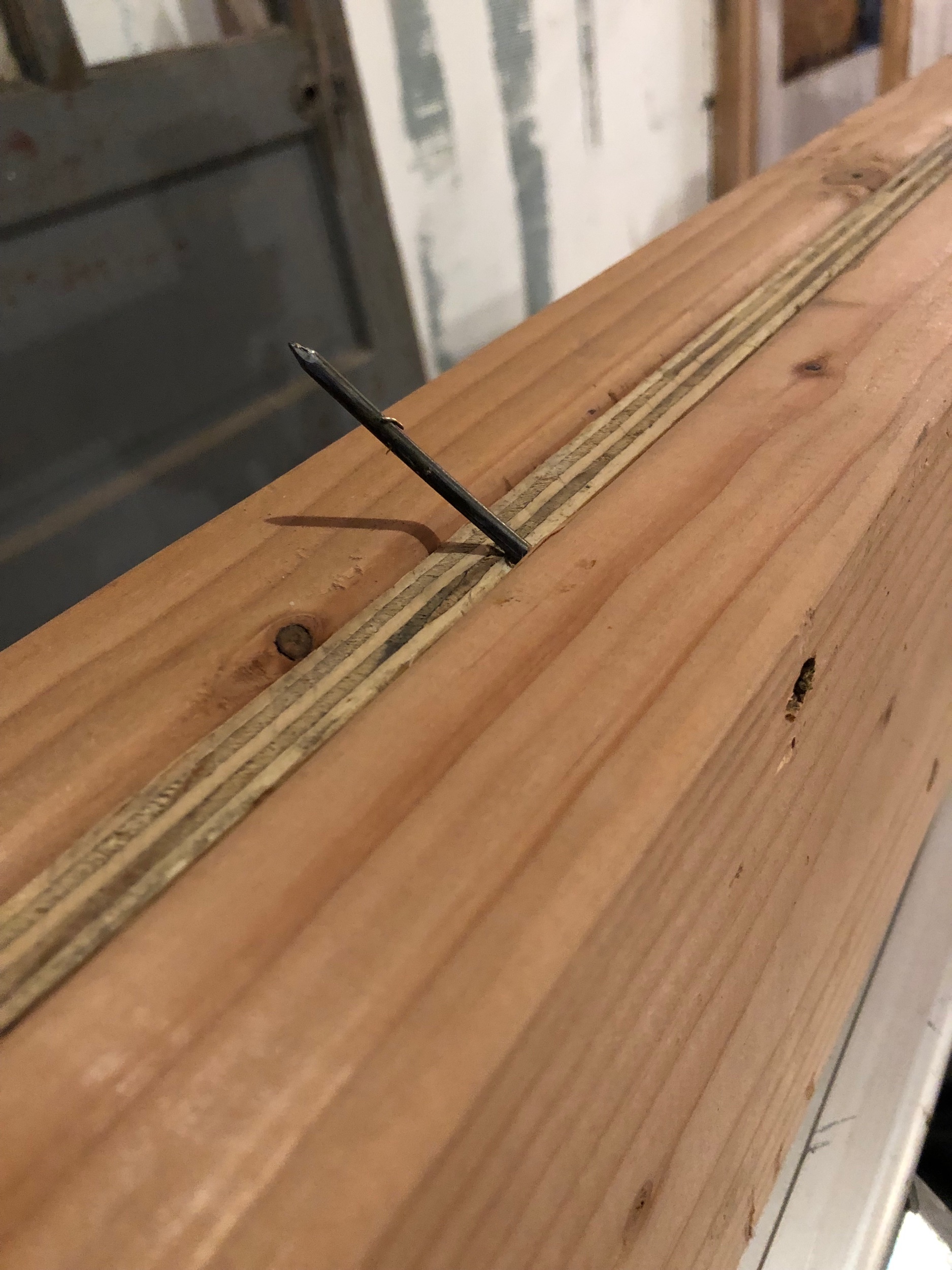 The nail gun is my nemesis. This enraged me.
