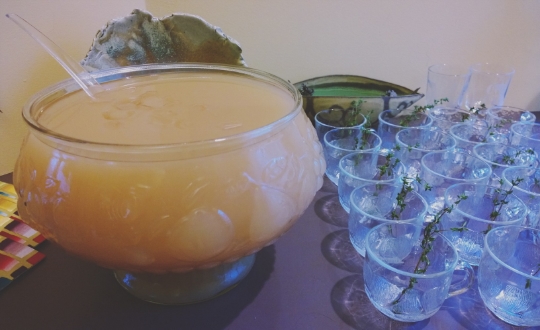 Valcohol Holiday Punch