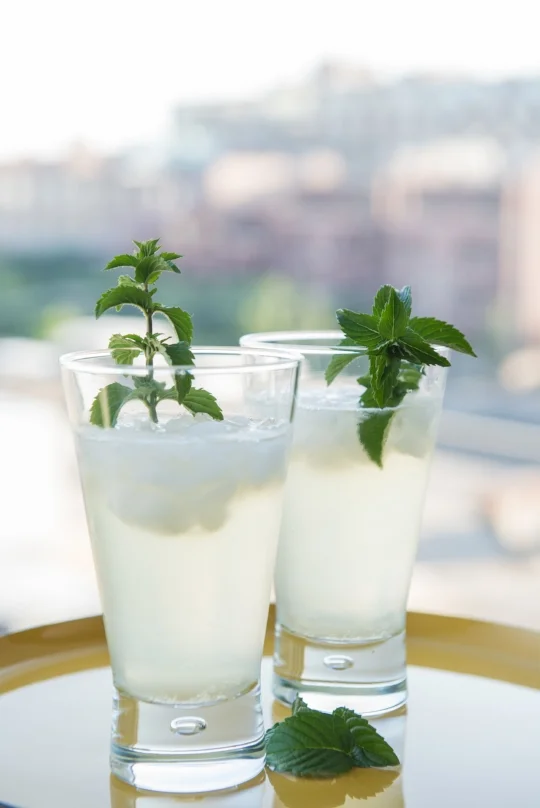 Kyoto Chiller