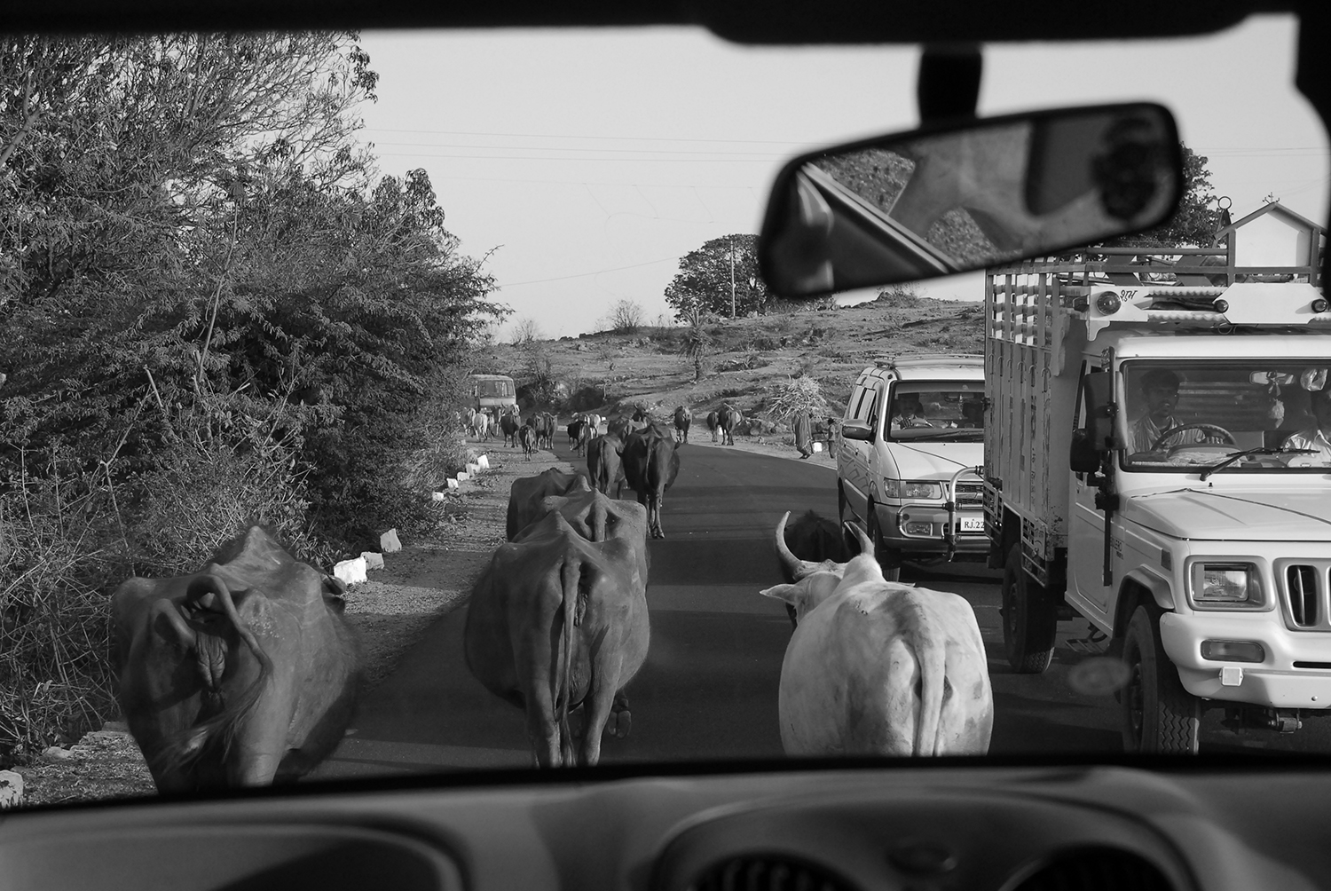Traffic Jam - India style.JPG
