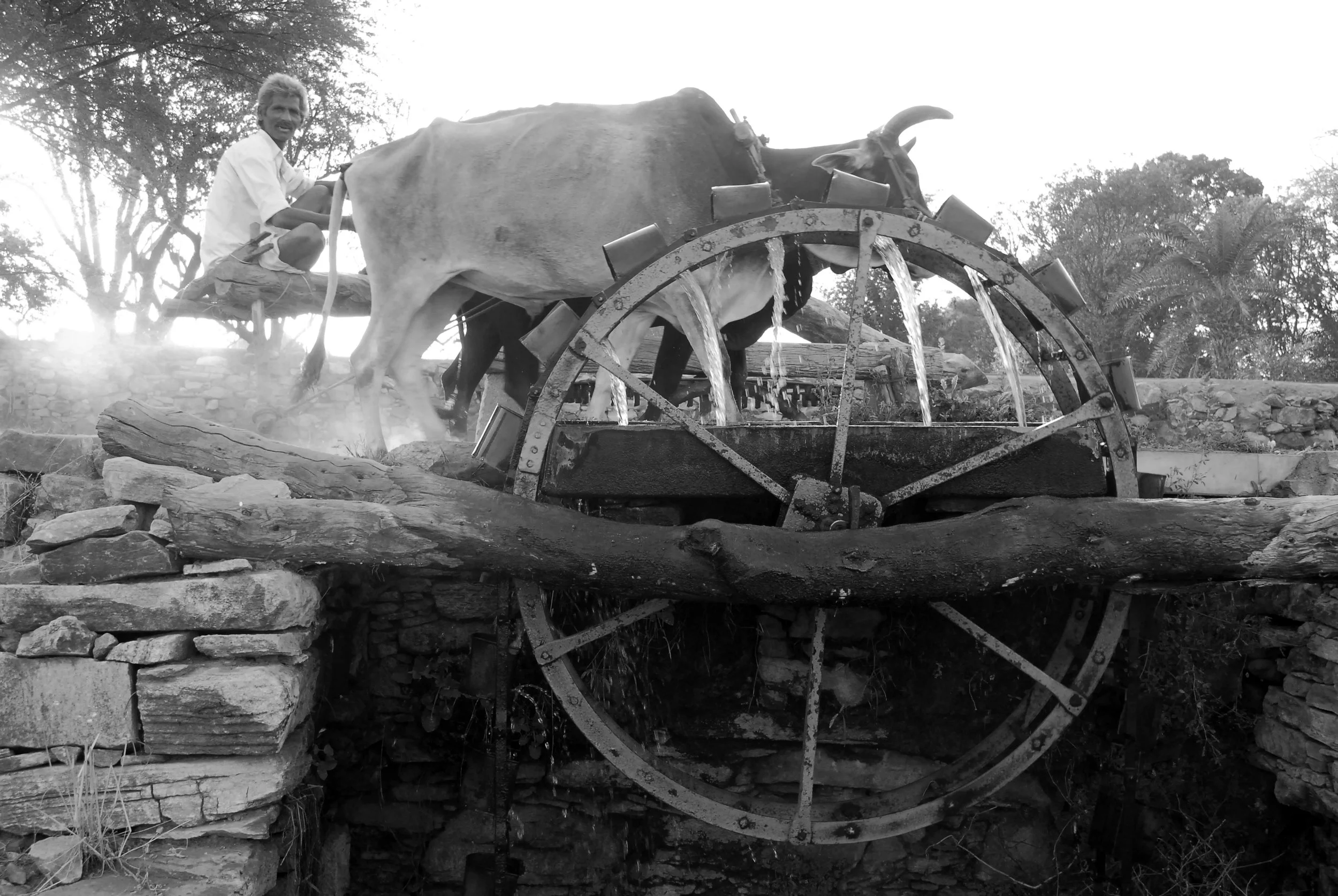 Well water pulley system.jpg