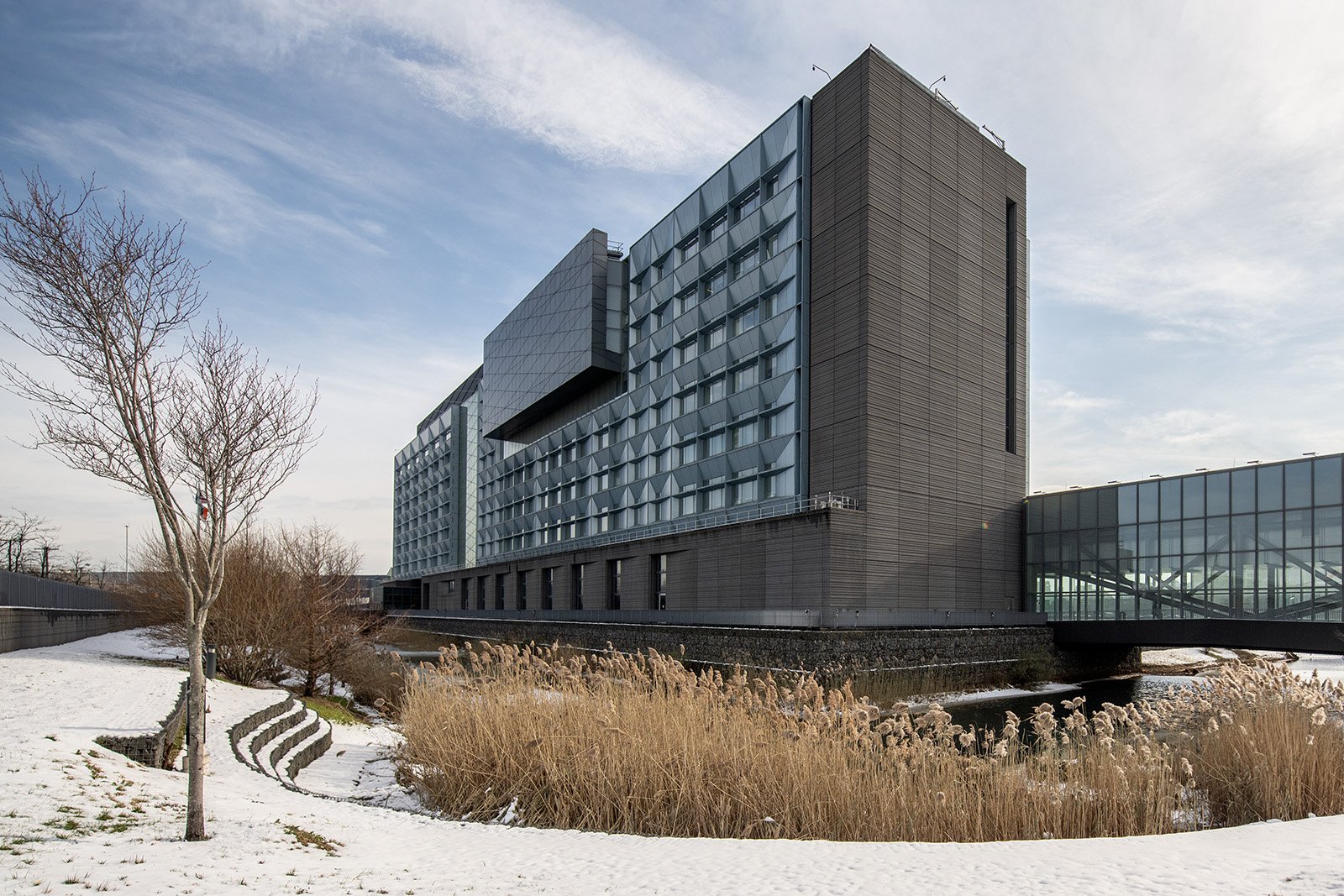 DSC_6200 crop lowres.jpg