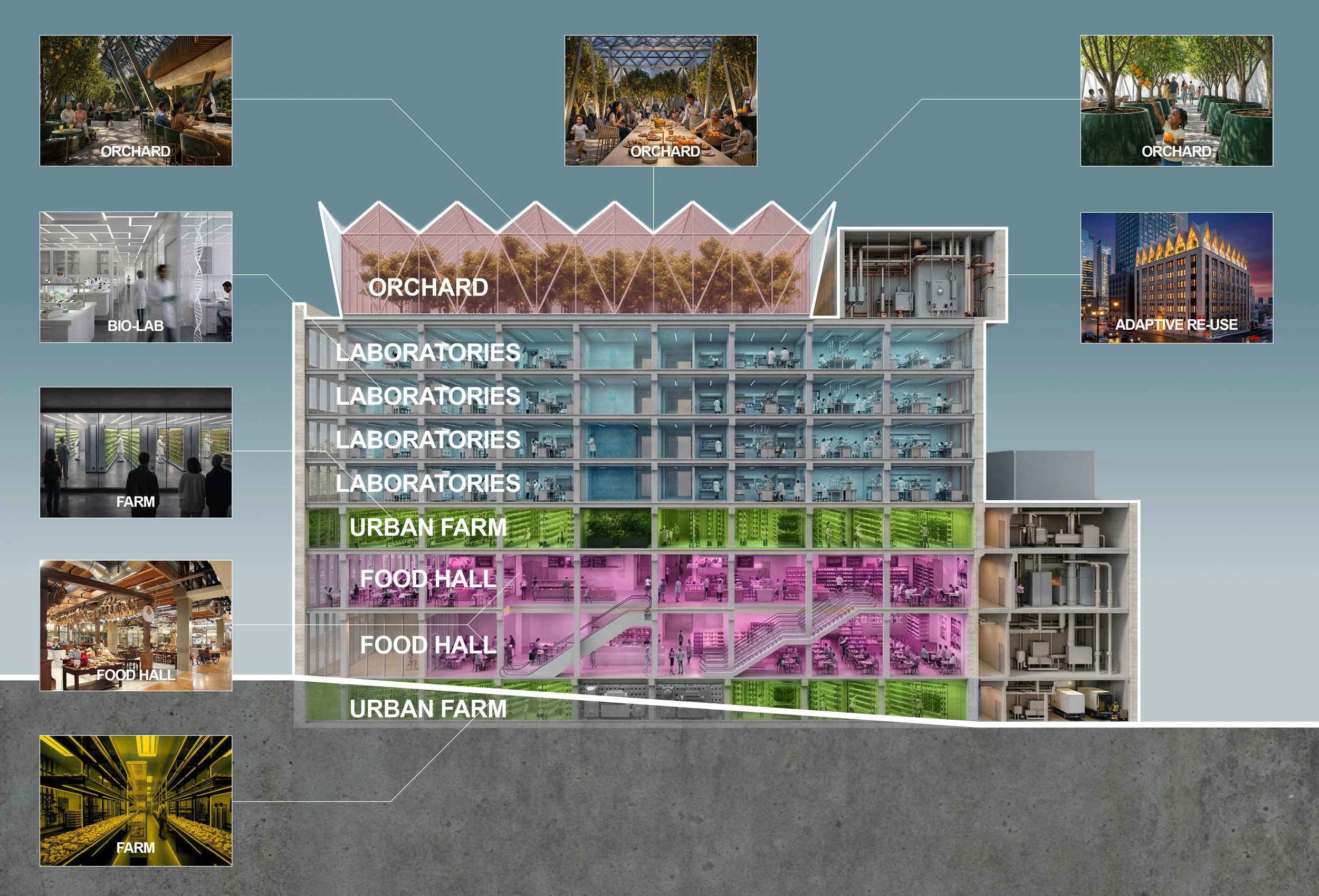 Transverse Section FINAL.jpg