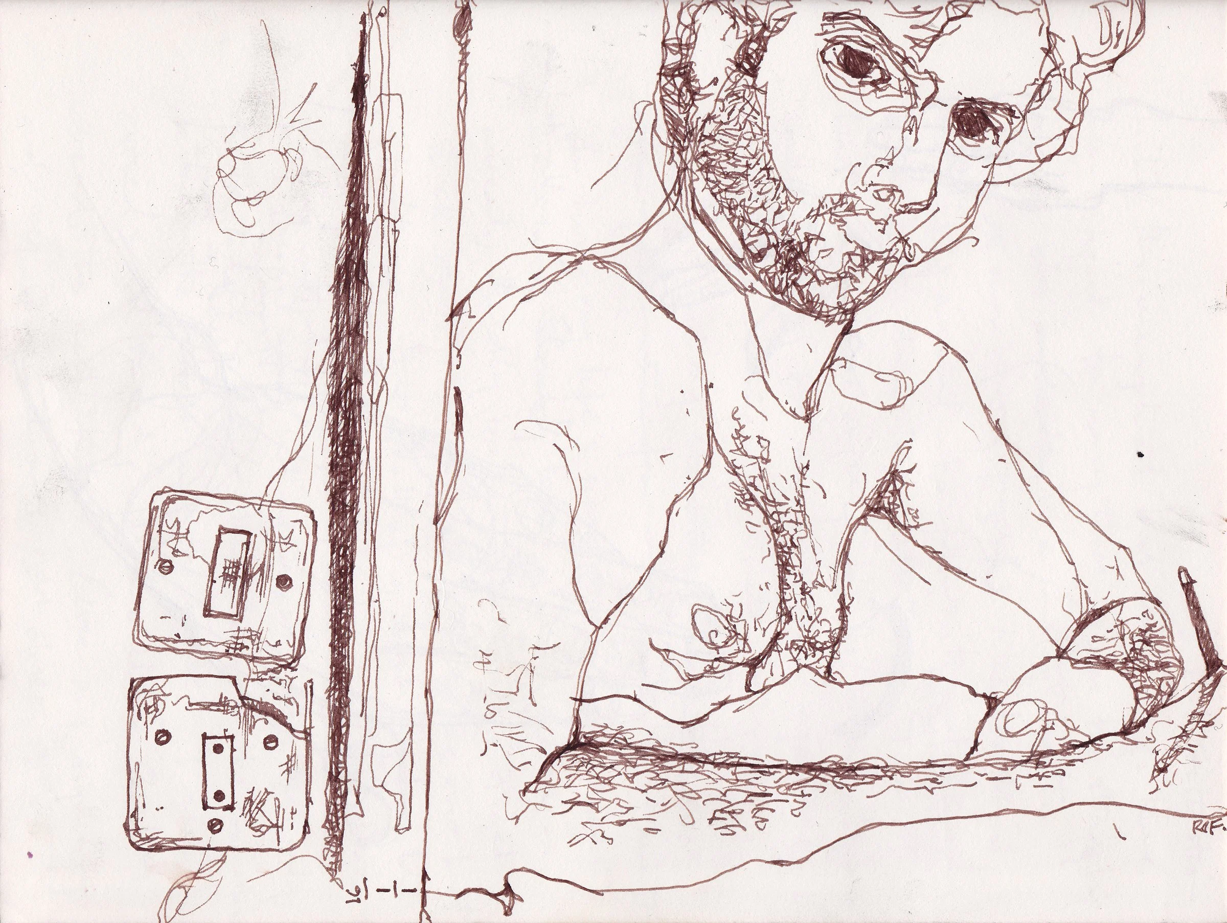 self brown lines with scruff.jpg