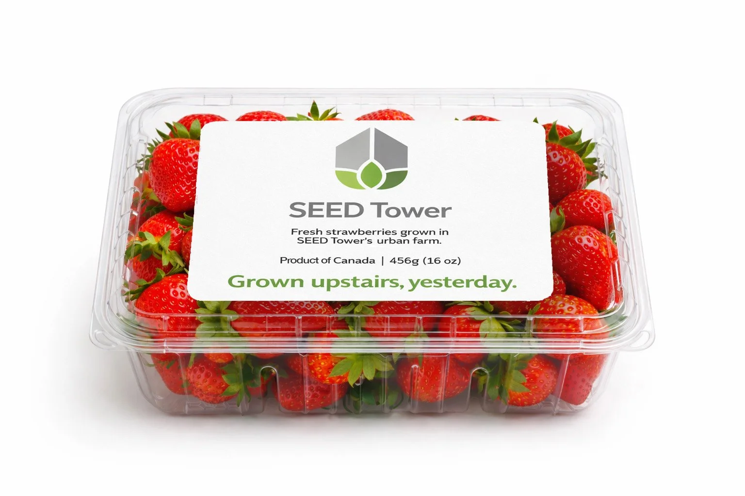 0—Strawberries.jpg