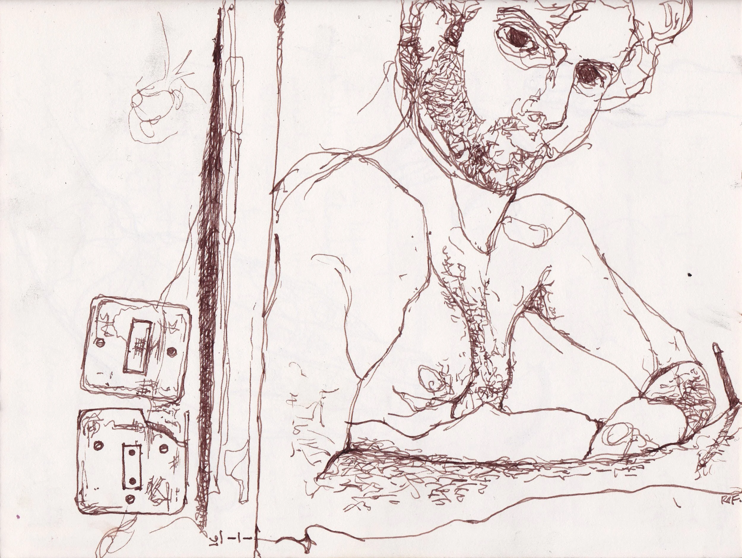 self brown lines with scruff.jpg