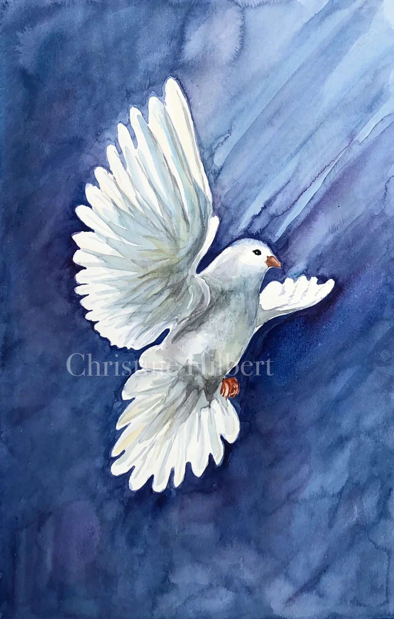 Dove