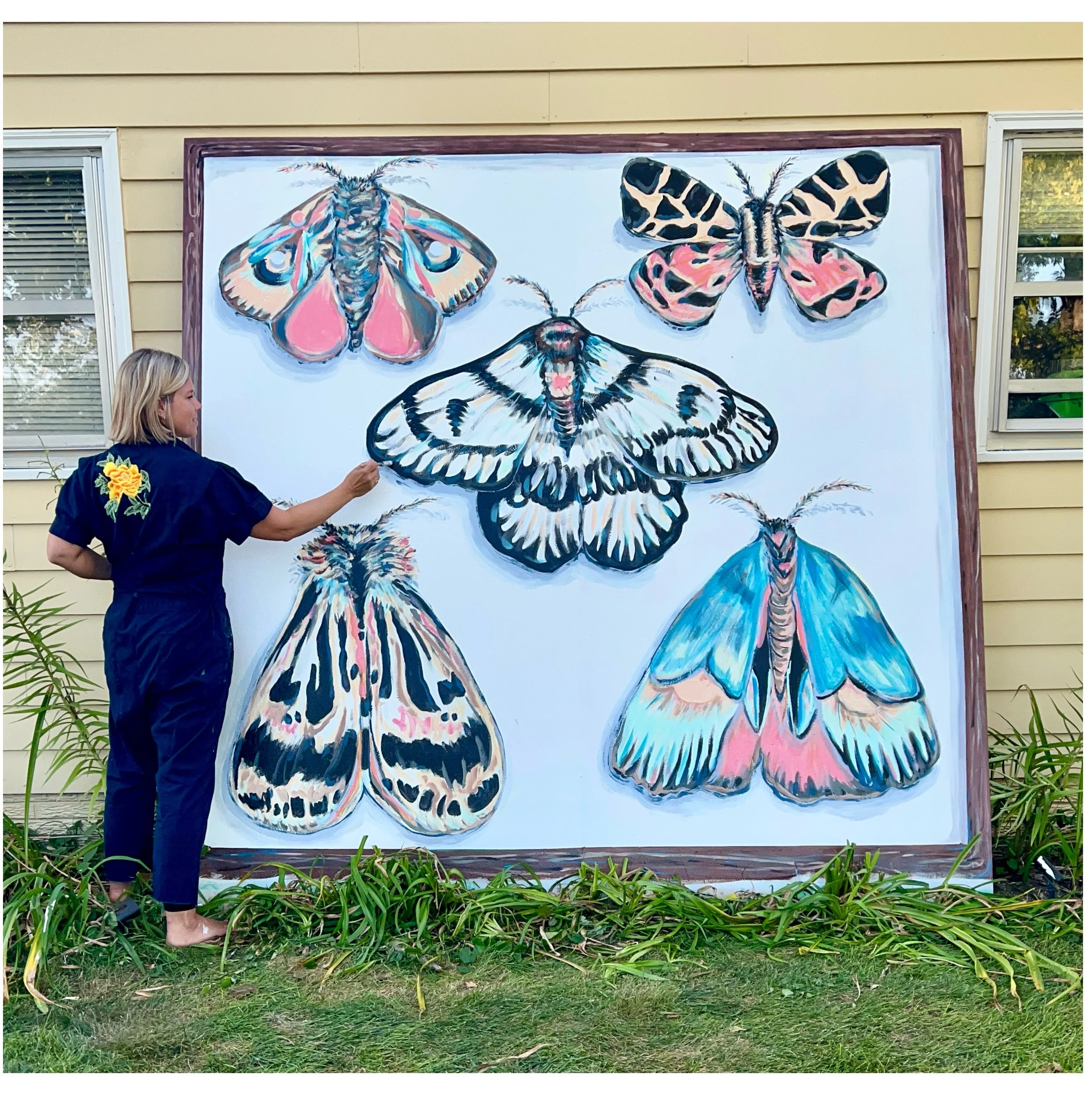 Moth Shadowbox, 2026