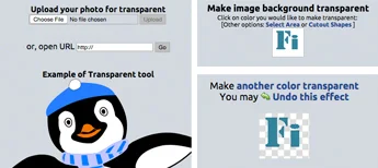 There is even a penguin to greet you! 