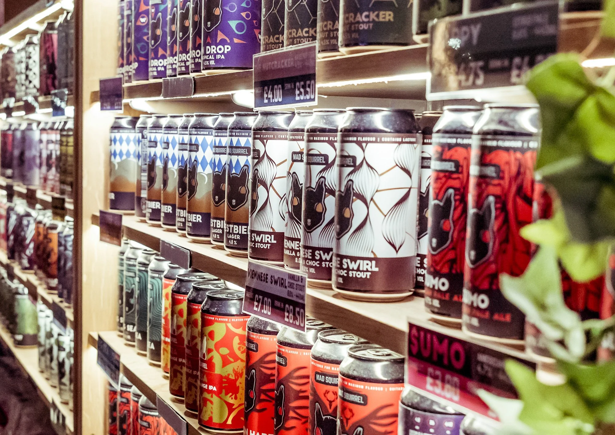 Phoenix Bar ST (6).jpg